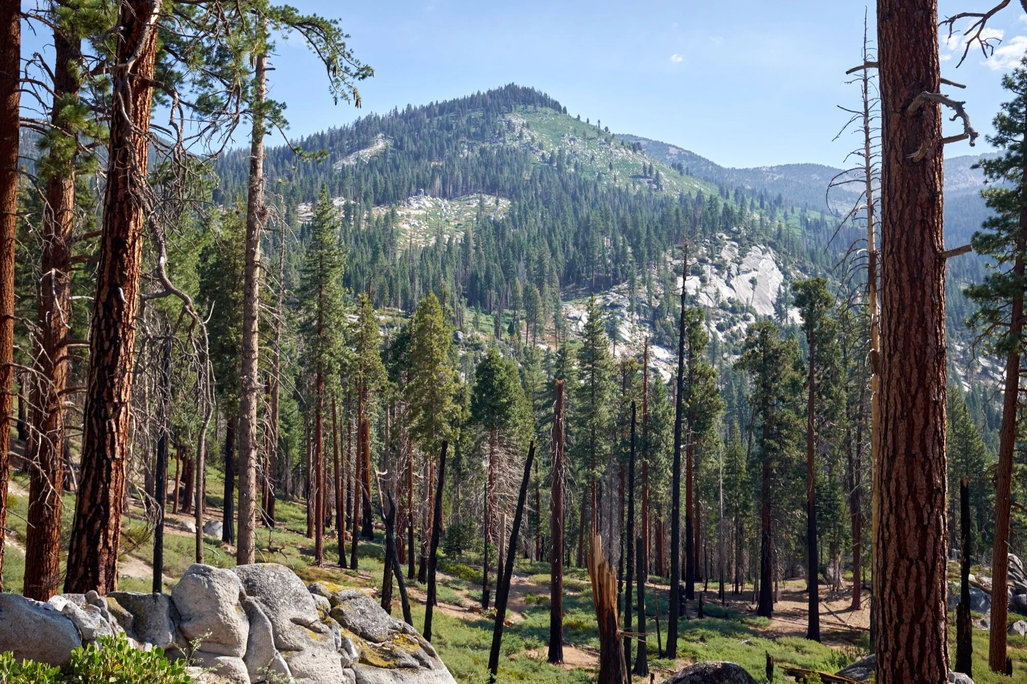 DSCF9062.jpg