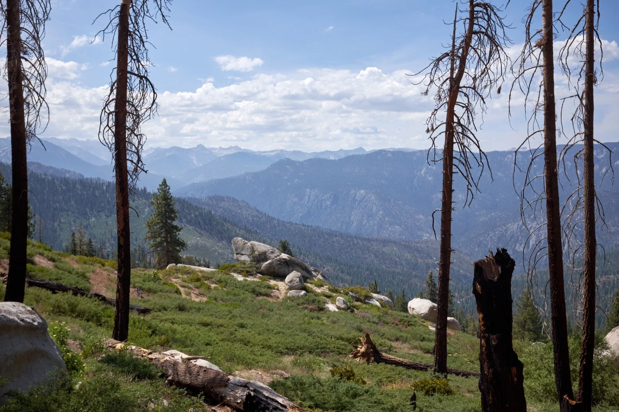 DSCF9070.jpg