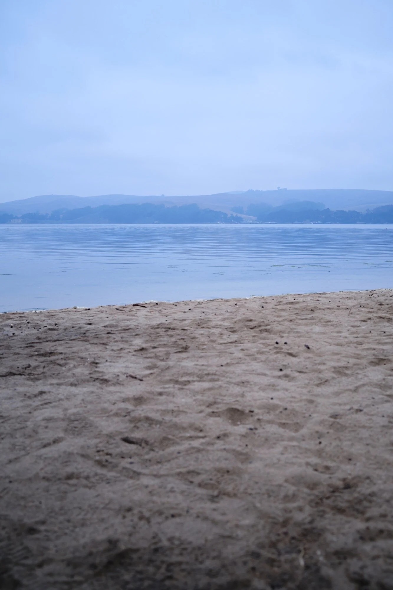 _DSF0683.jpg