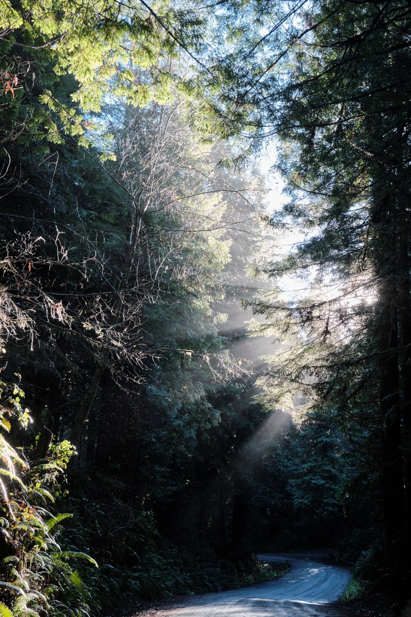 _DSF0116.jpg