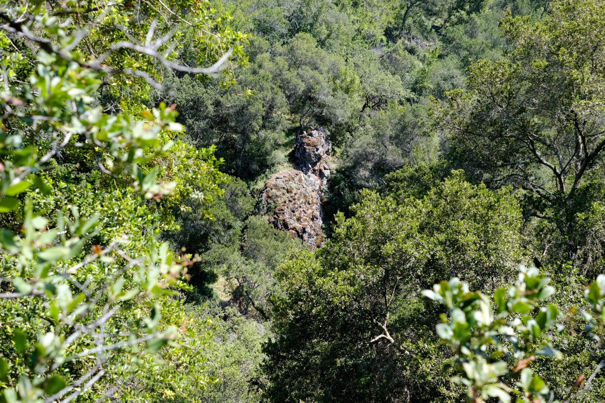 _DSF0145.jpg