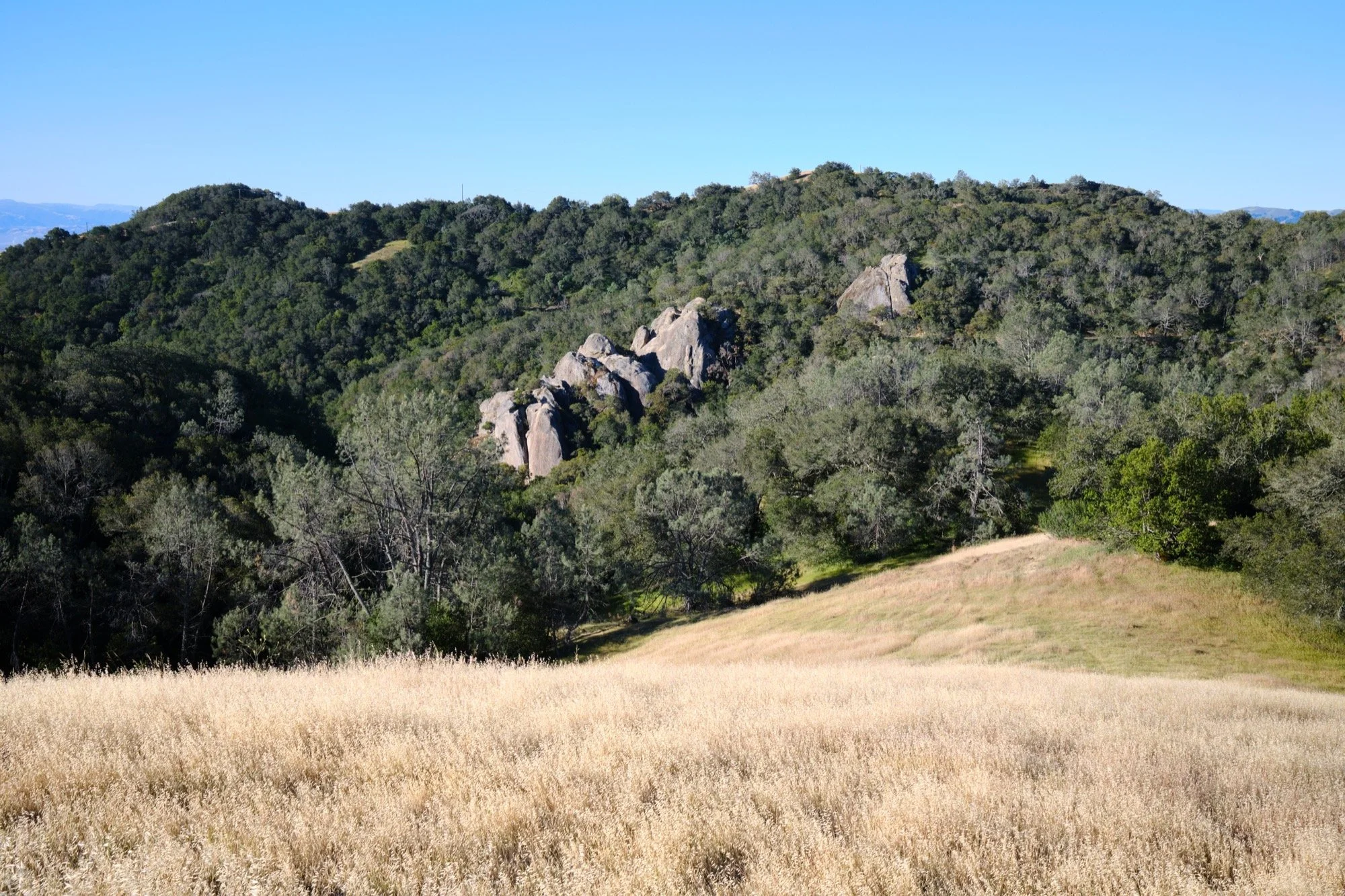 _DSF4378.jpg