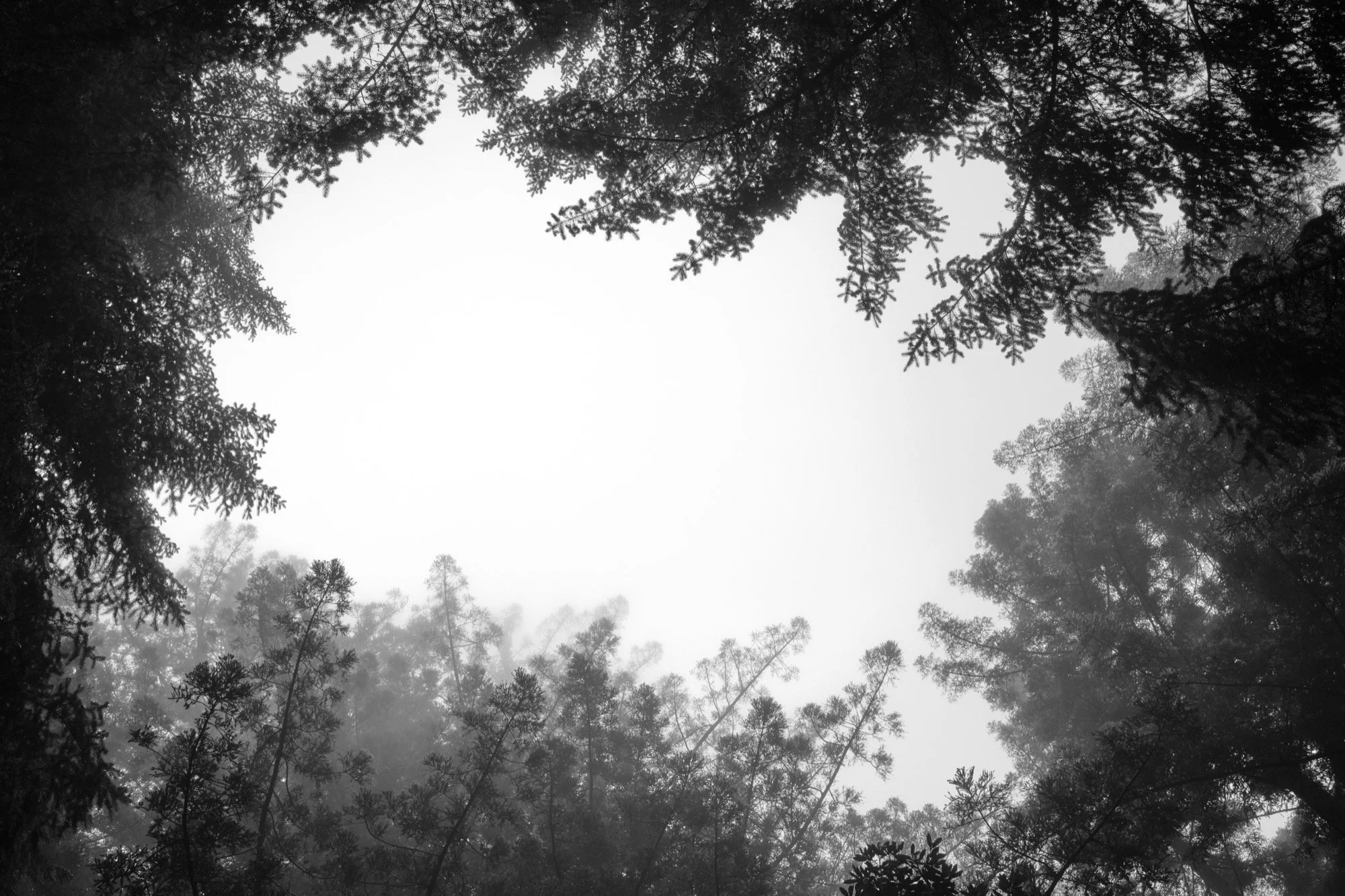 _DSF4465.jpg