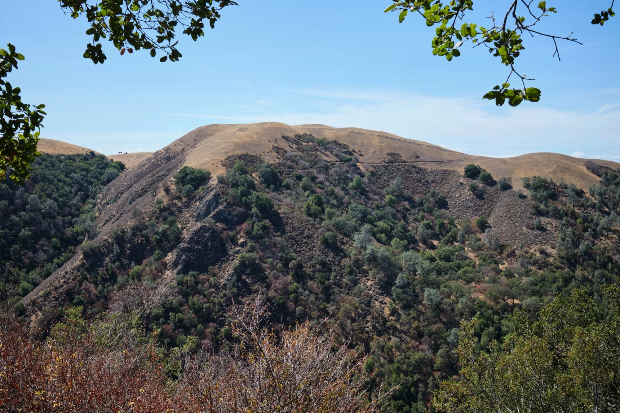 _DSF6791.jpg