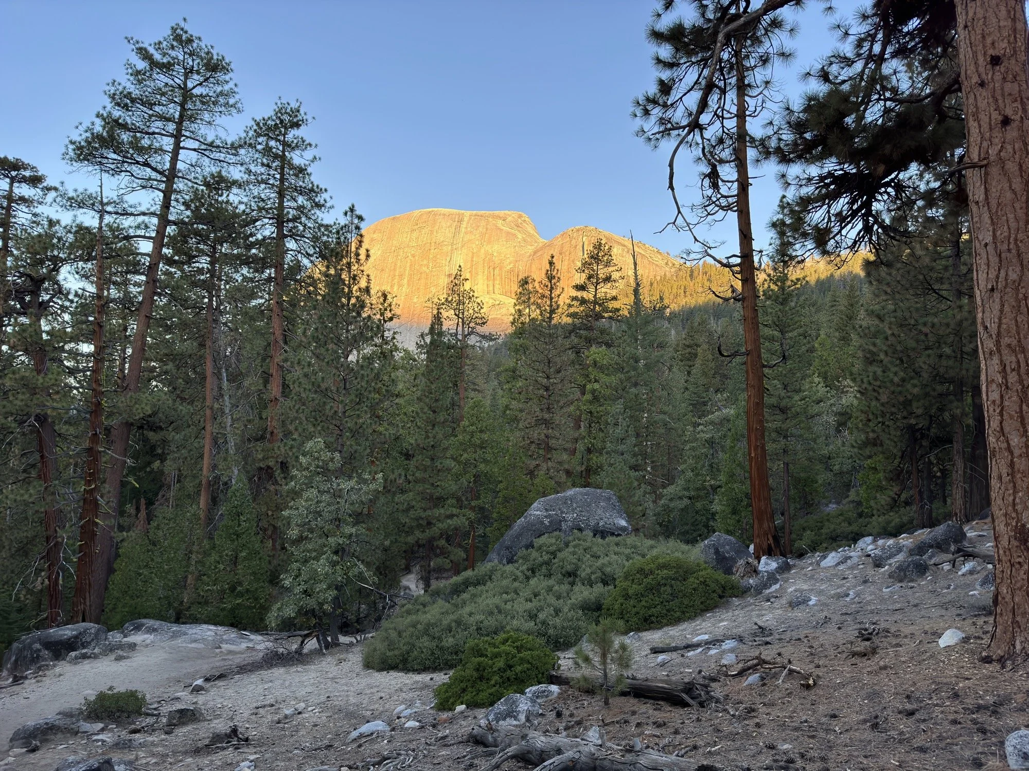 IMG_0240.jpeg