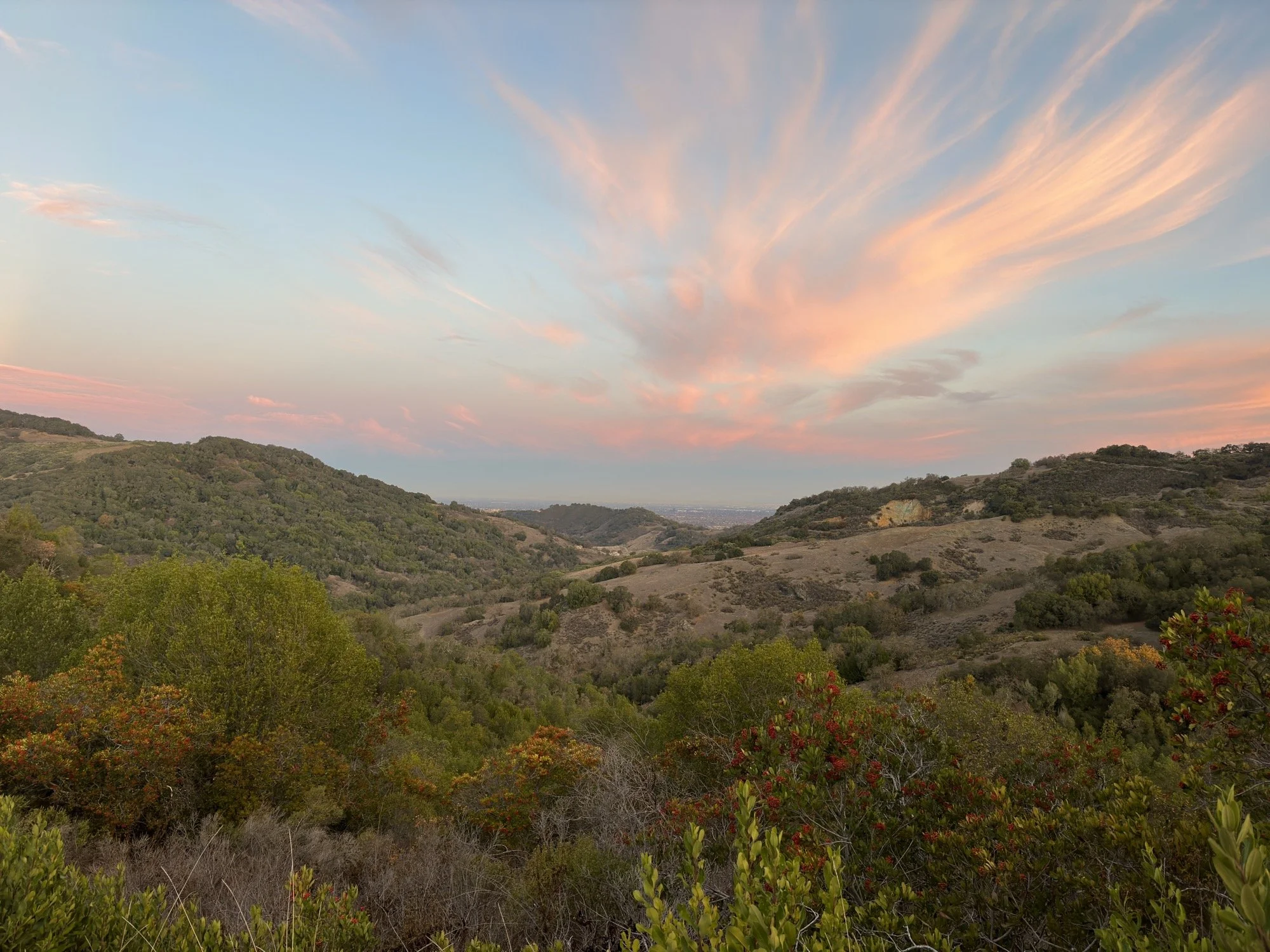 IMG_0902 11.01.37 PM.jpeg