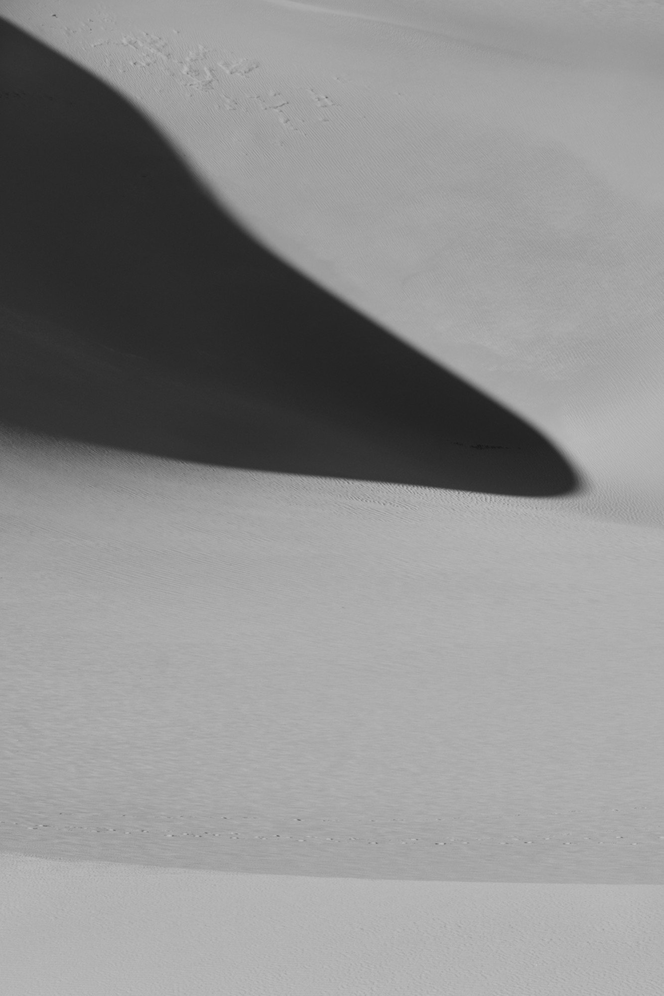 _DSF9007.jpg