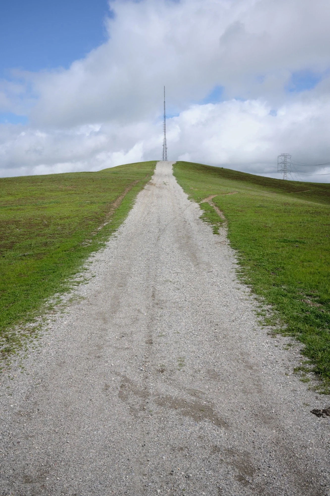 _DSF9091.jpg
