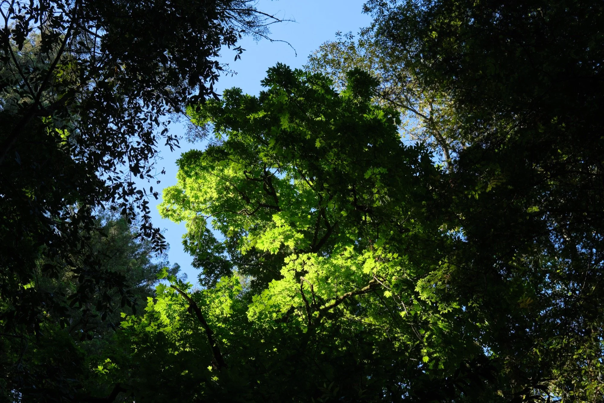 _DSF9324.jpg