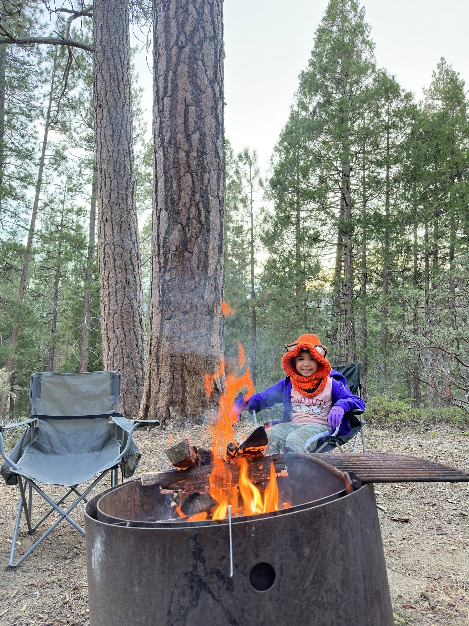 Hume Lake Campground — The Weekly Camper