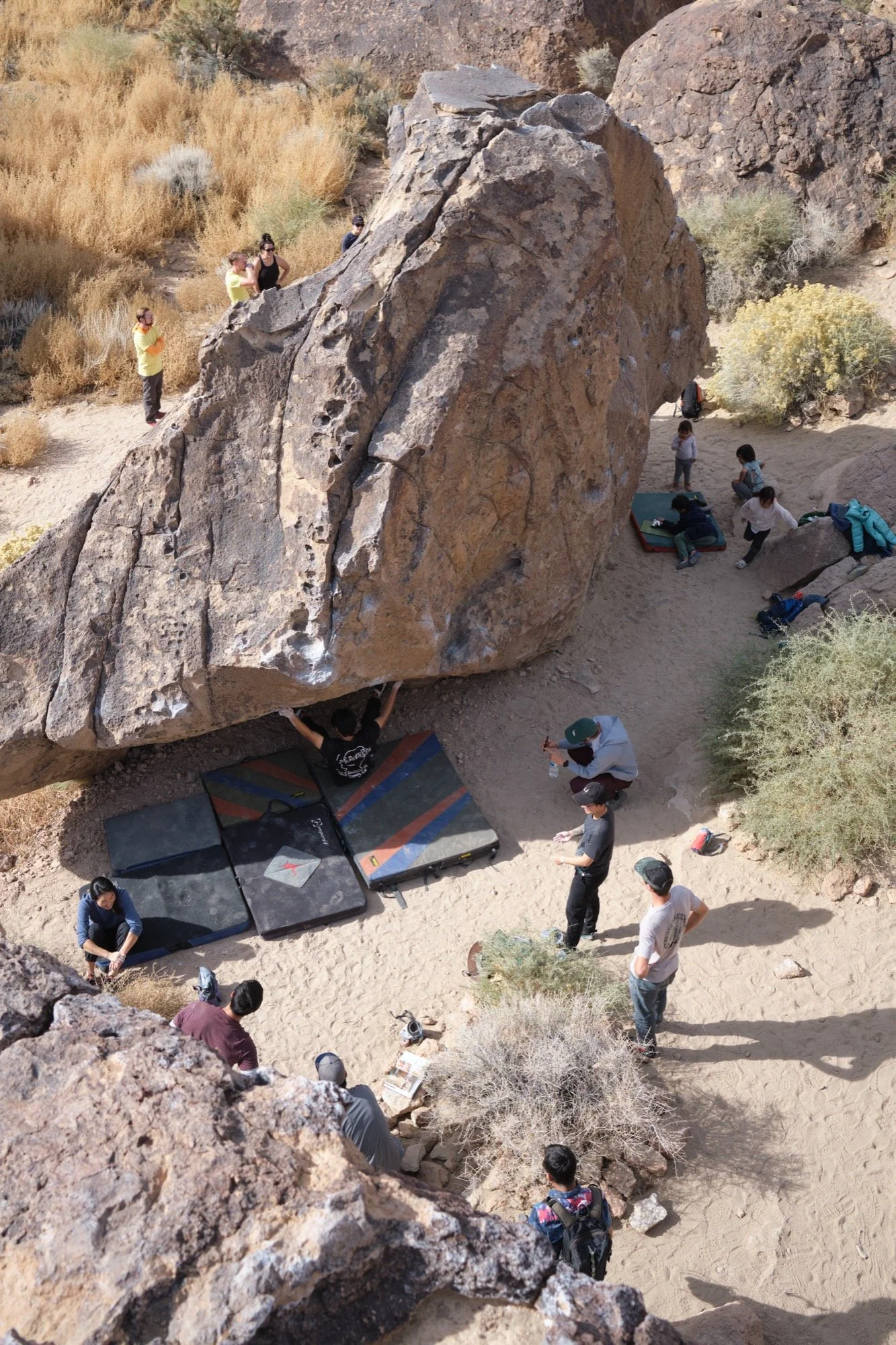 _DSF0789.jpg