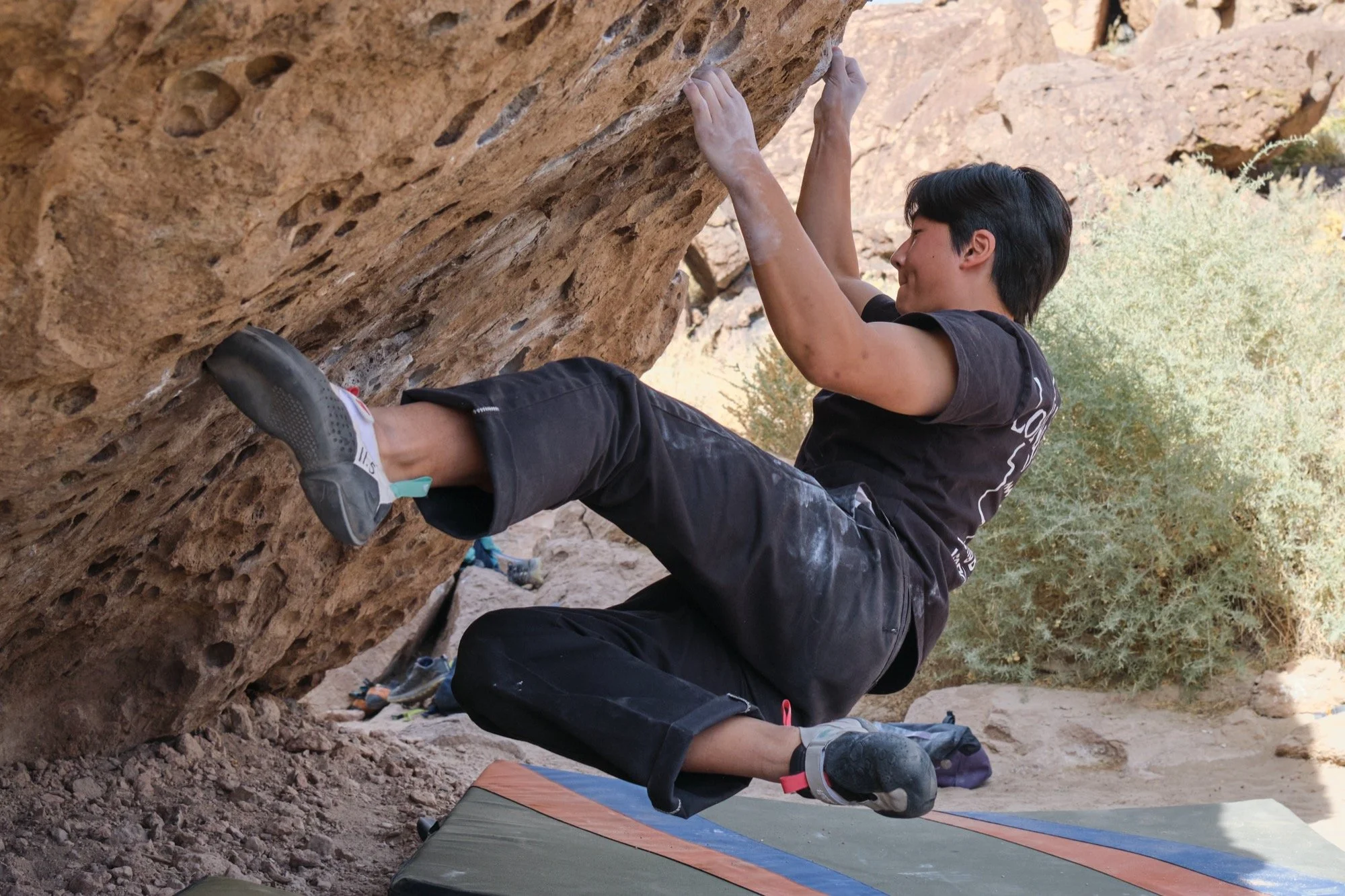 _DSF0793.jpg