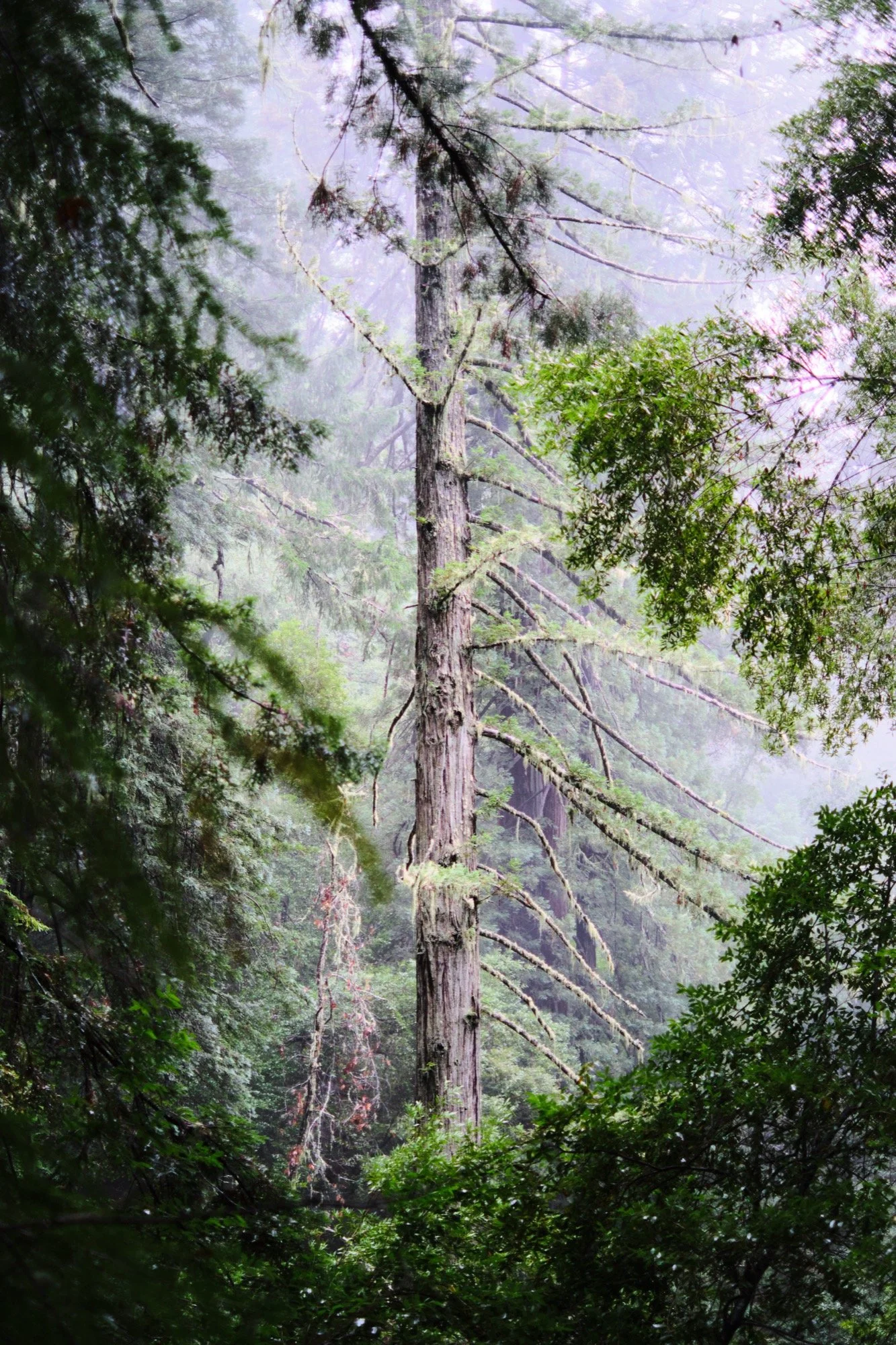 _DSF5410.jpg