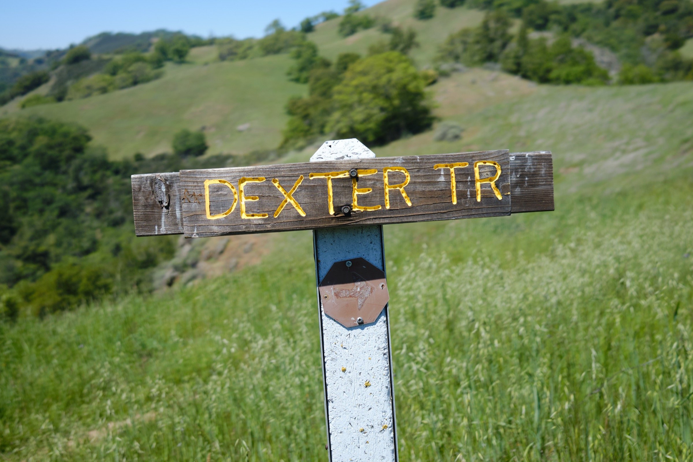 _DSF8567.jpg