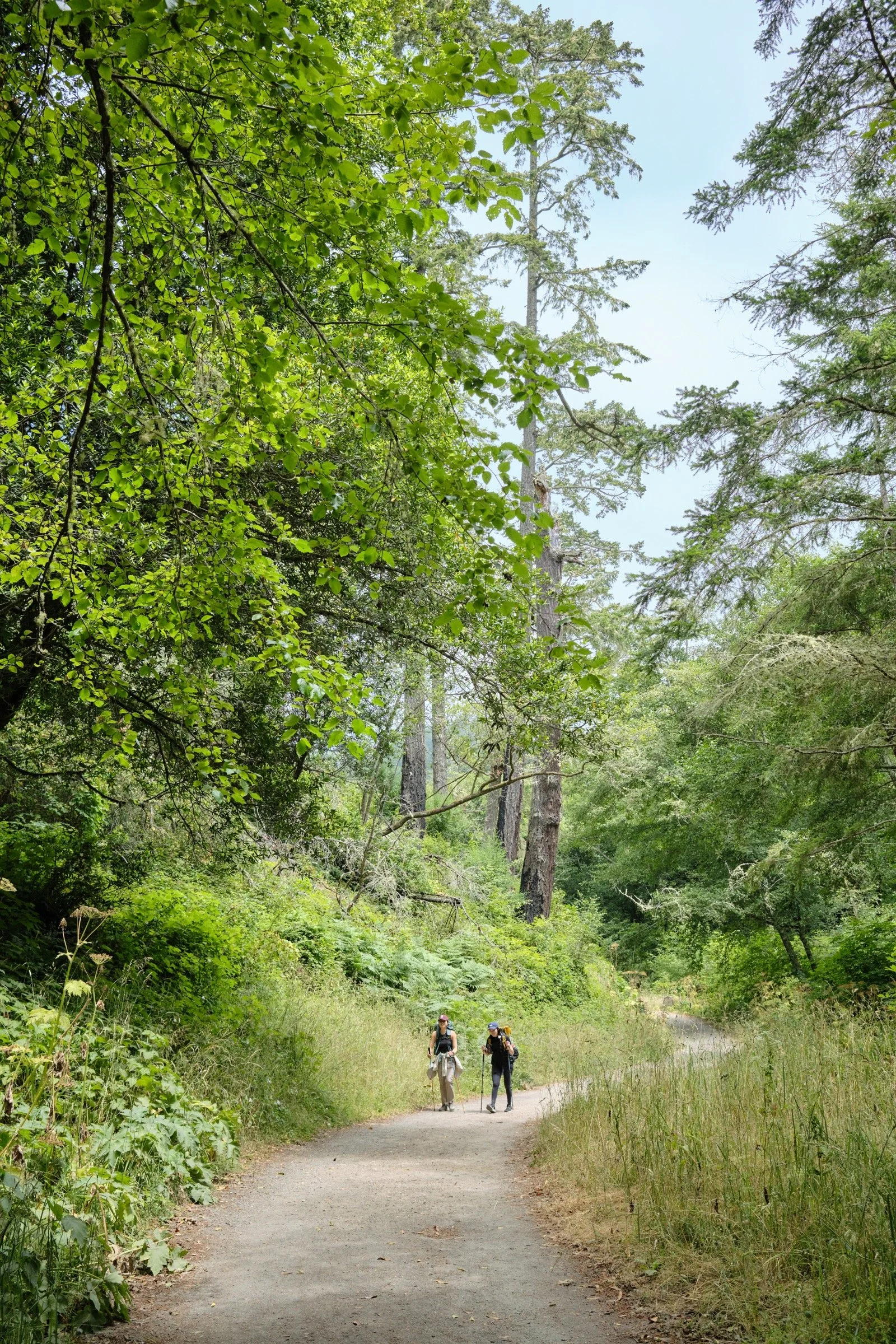 _DSF9039.jpg