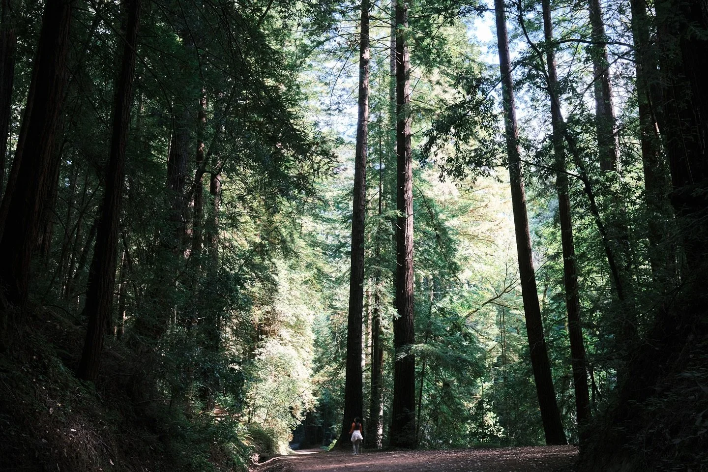 Maple Falls hike at #theforestofnisenemarks