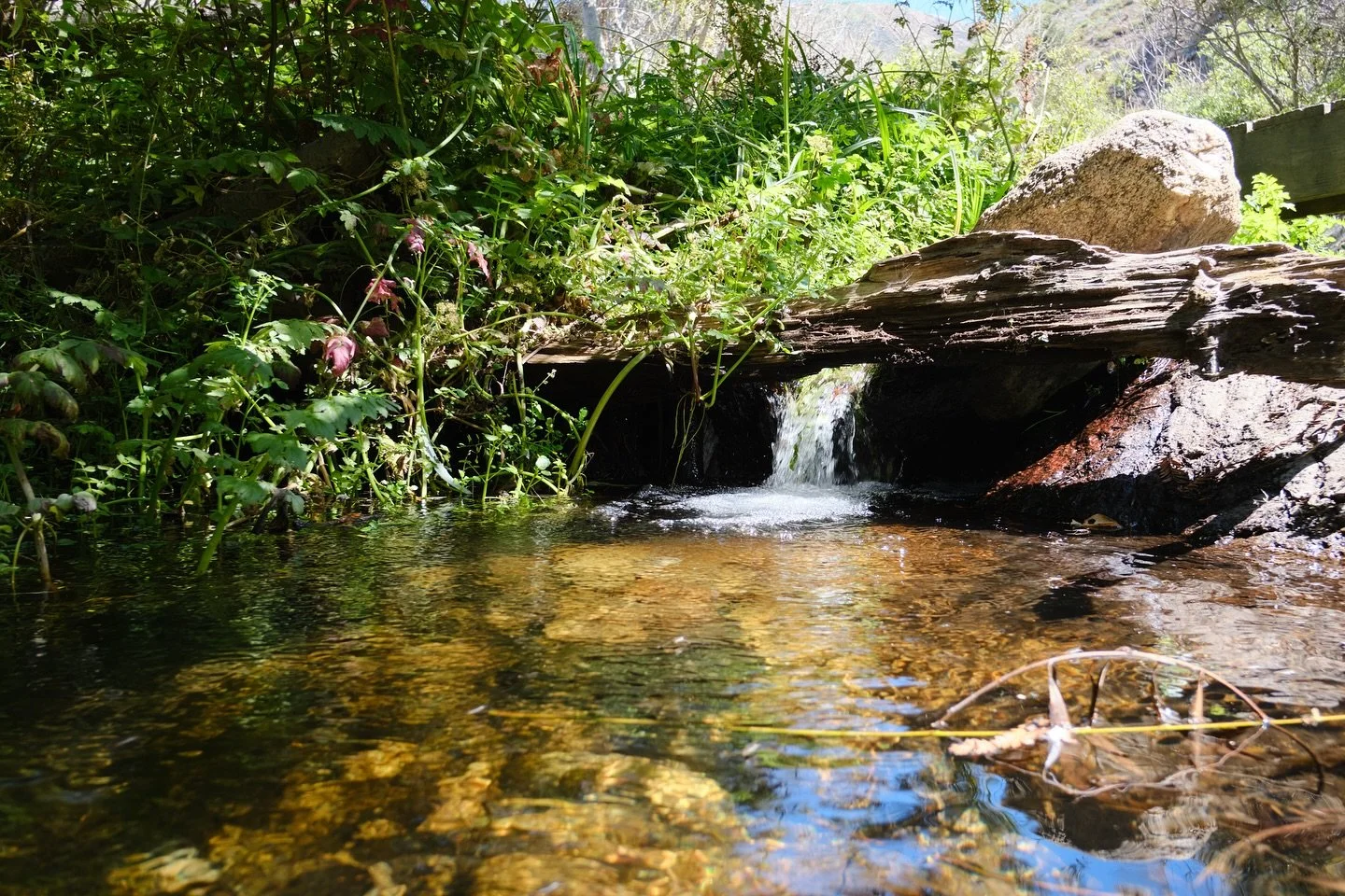 Hike and bike in Big Sur and Monterey