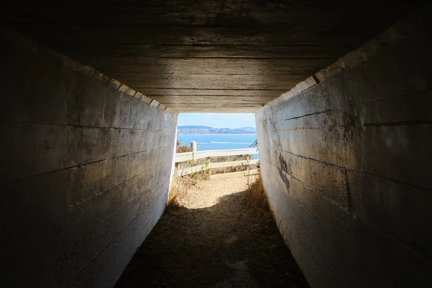 Photos from Marin Headlands