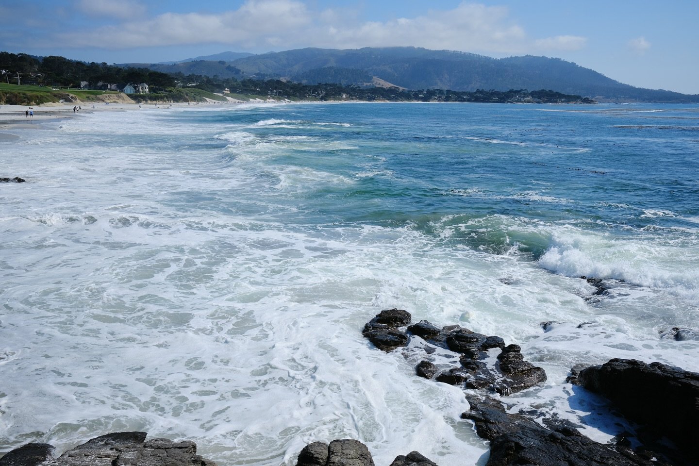 @cassiezhangarver and I spent sometime in Big Sur. Cassie helped save a cormorant that was struggling in the water; hopefully it recovered and is living the best life possible.