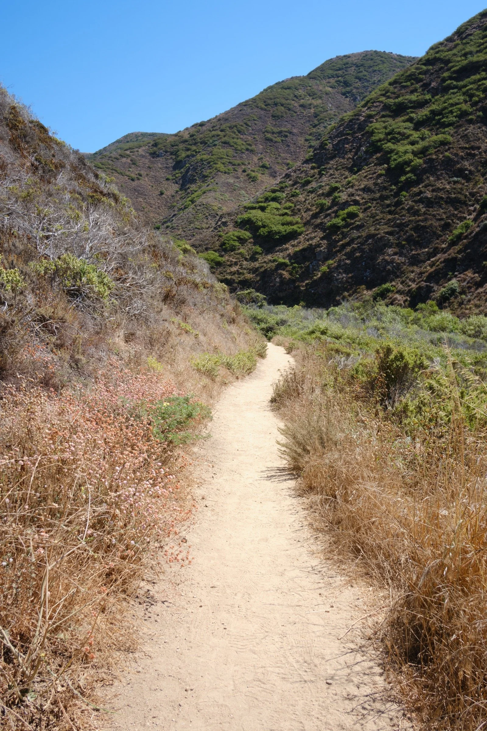 _DSF0641.jpg