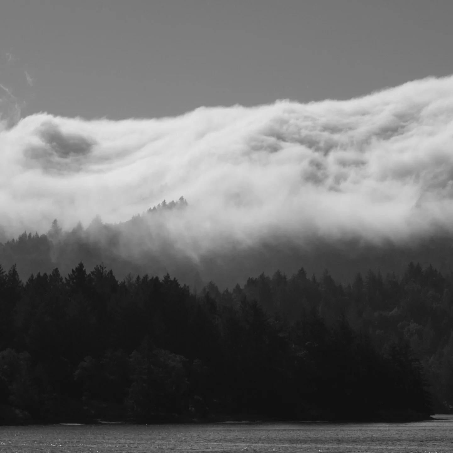 Mt Tam covered with fog