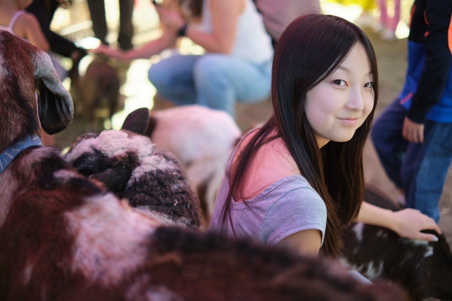 Fall Festival at Martial Cottle County Park was so much fun for everyone. There were a ton of vendors giving out free merch! My favorite was cherry tomatoes and spearmint!