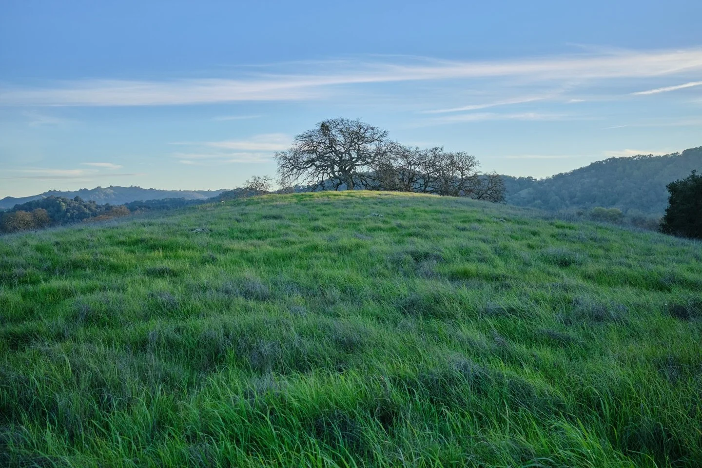 Pictures from Calero and Santa Teresa County Parks