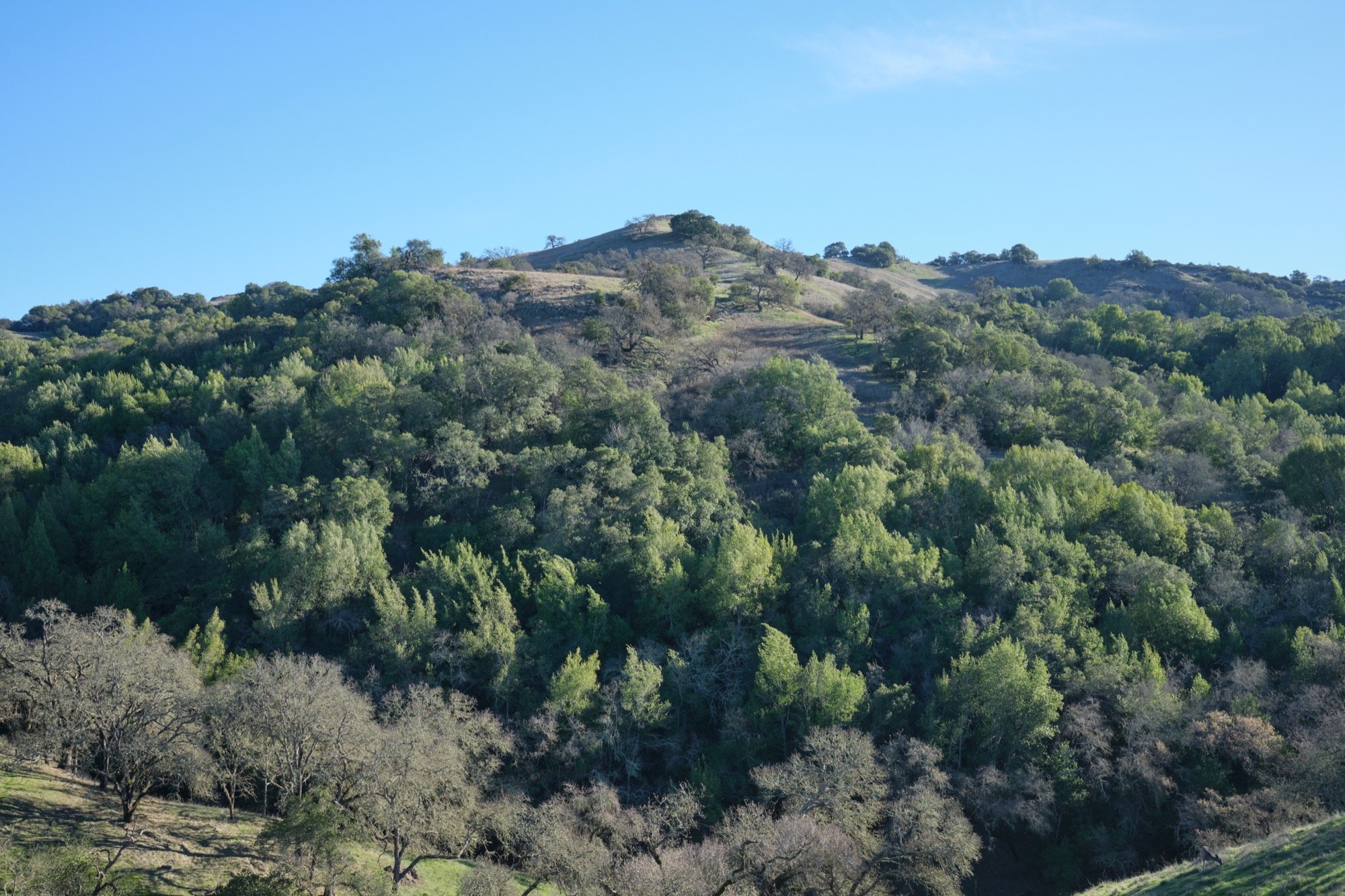 Calero County Park