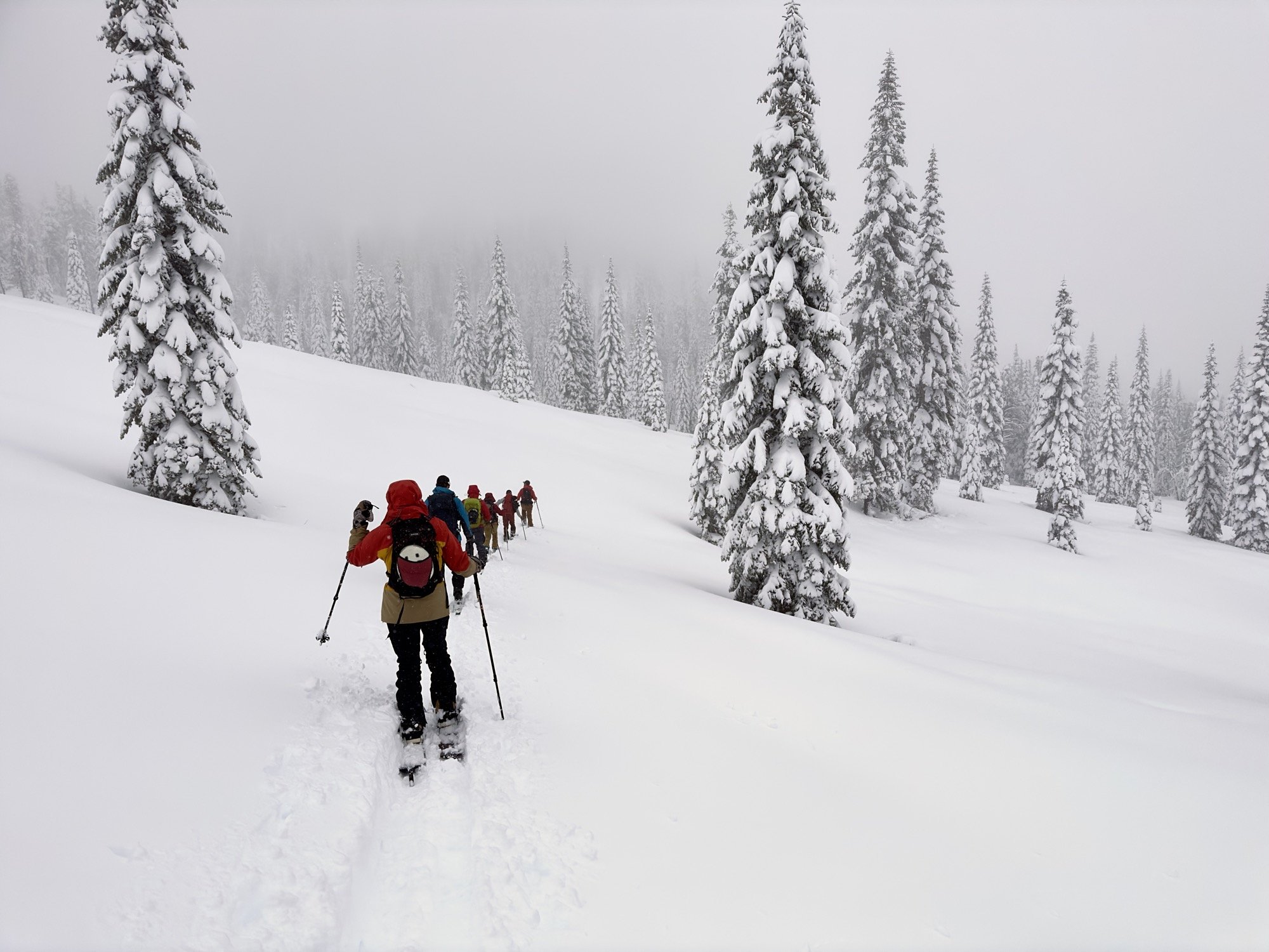 Shasta Ski to McKenzie Butte