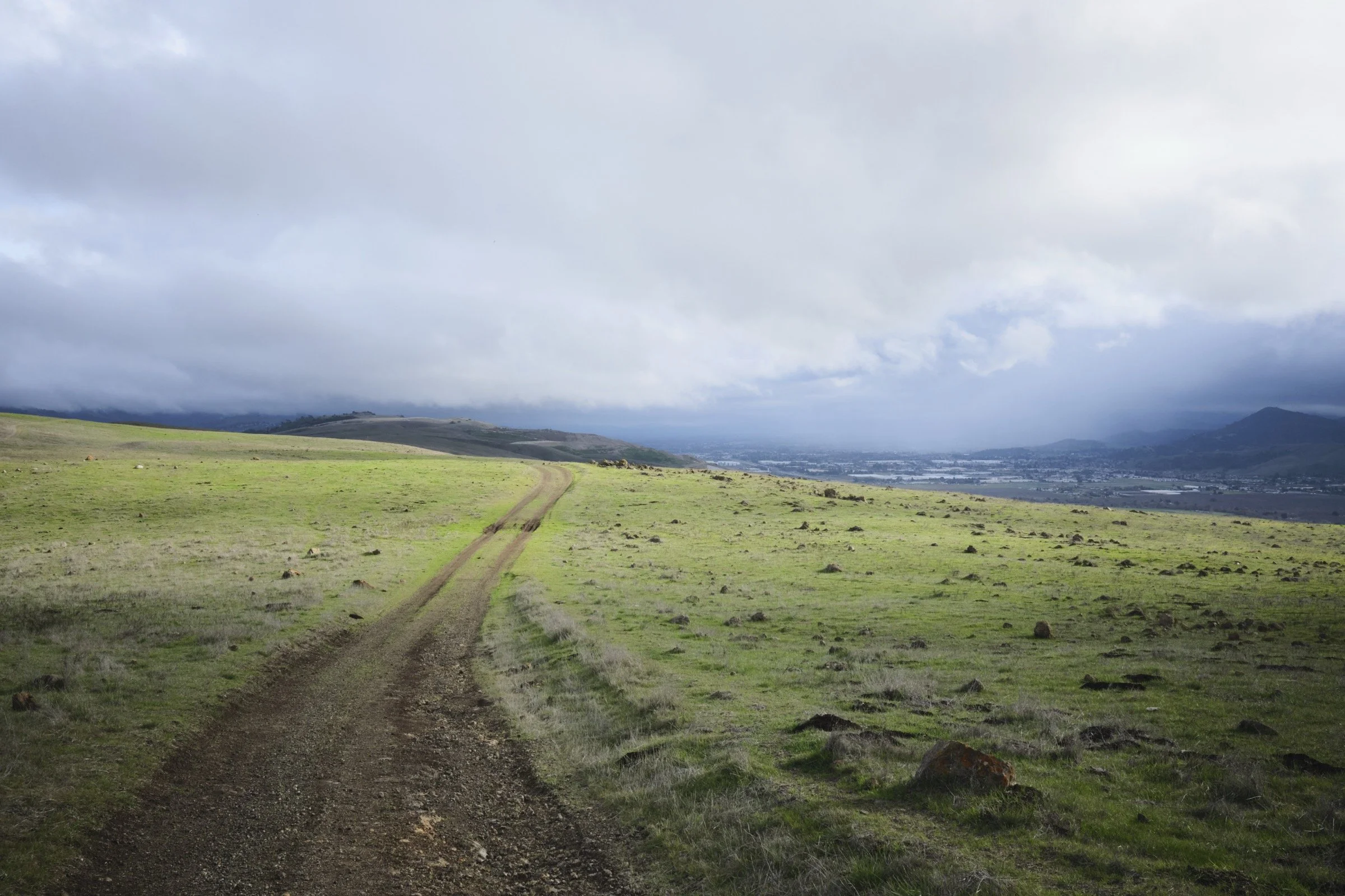 Coyote Ridge Open Space Preserve