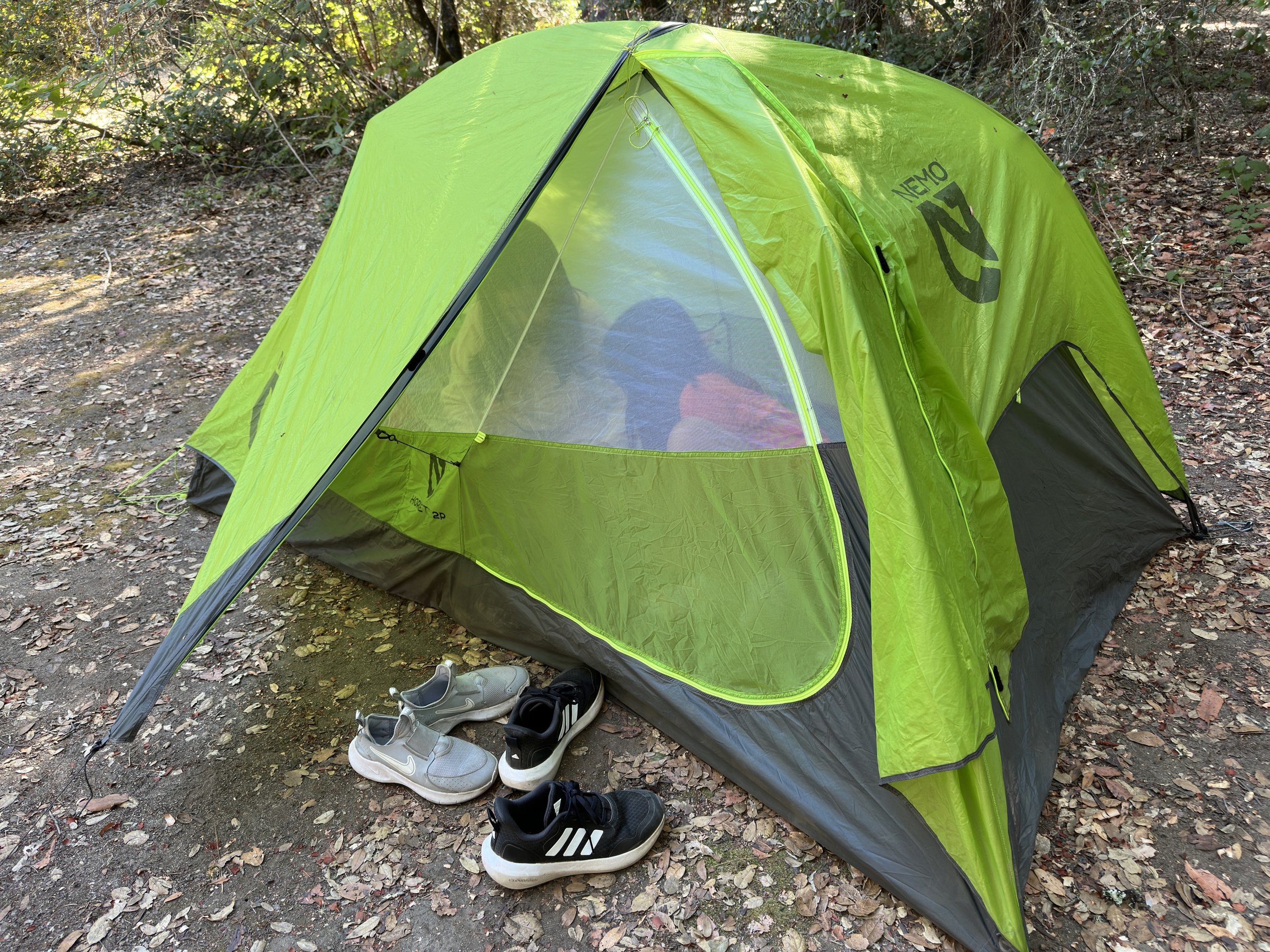 Henry Cowell State Park