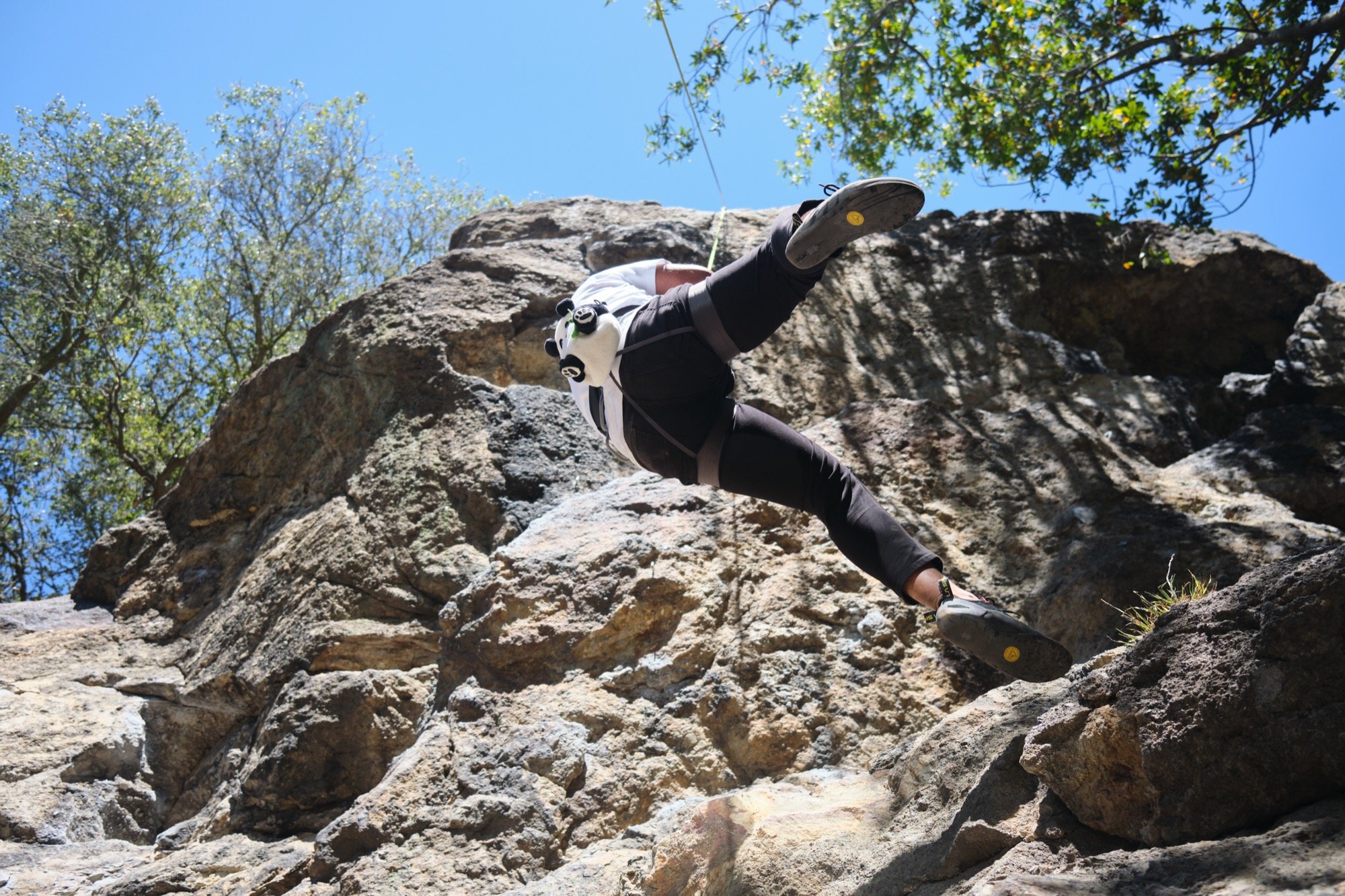 Cragmont Rock and Indian Rock Park