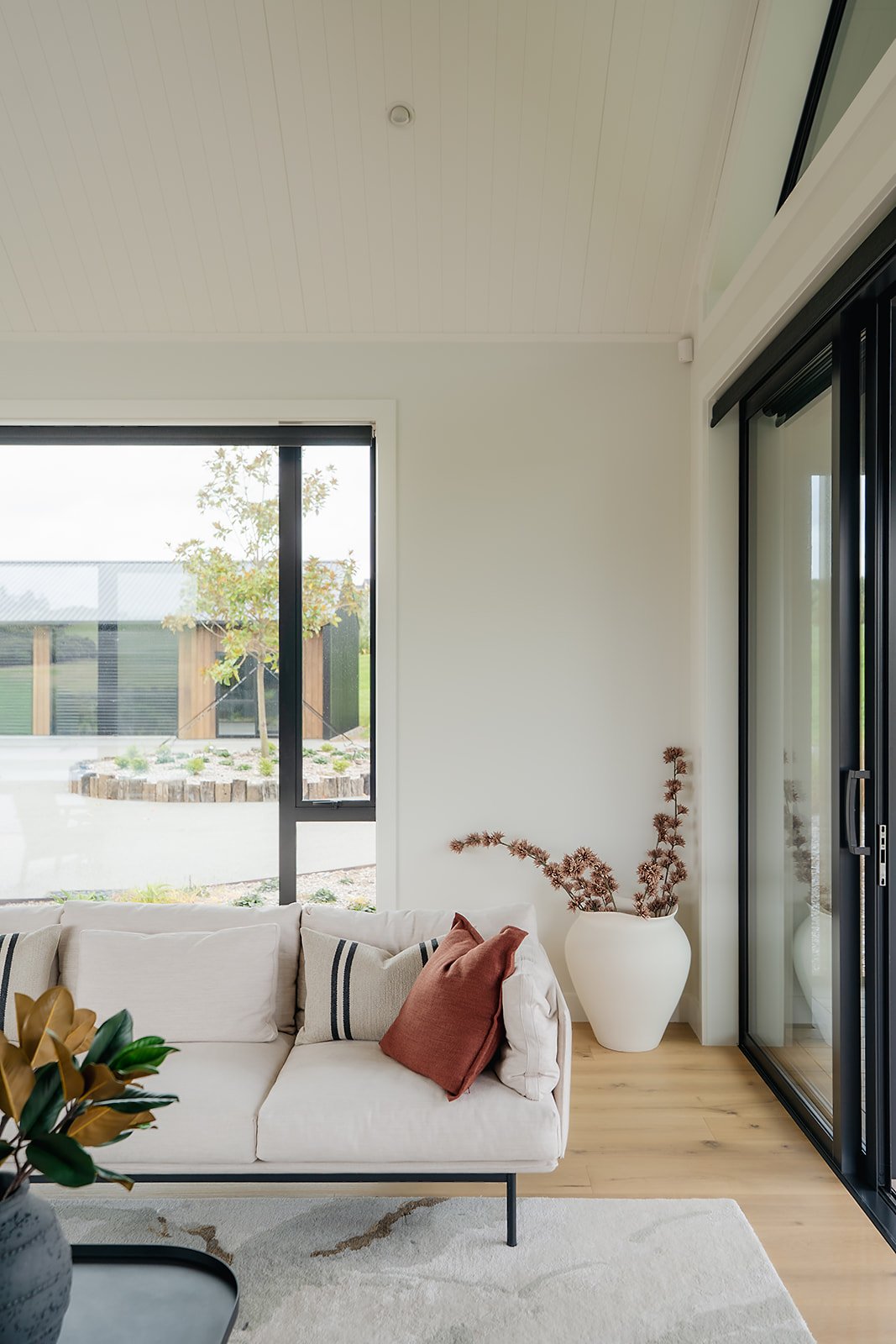 Kella Design palliser downs home February 2026-11.jpg