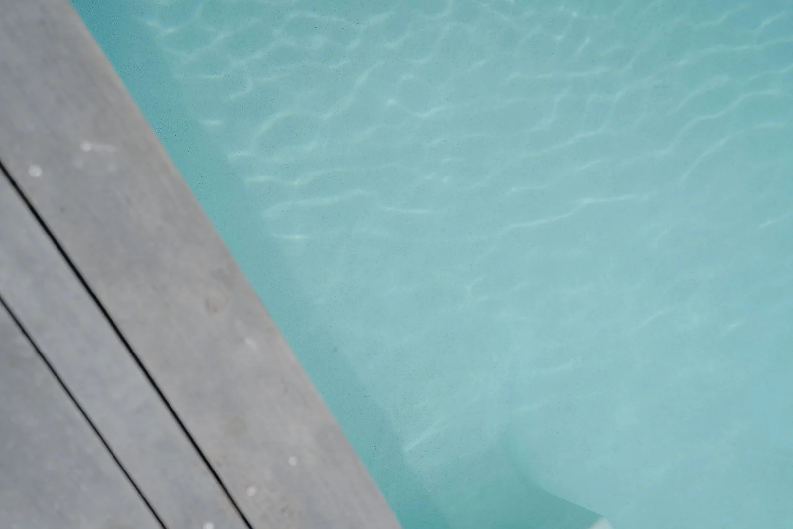 Kella Design palliser downs home February 2026-5.jpg