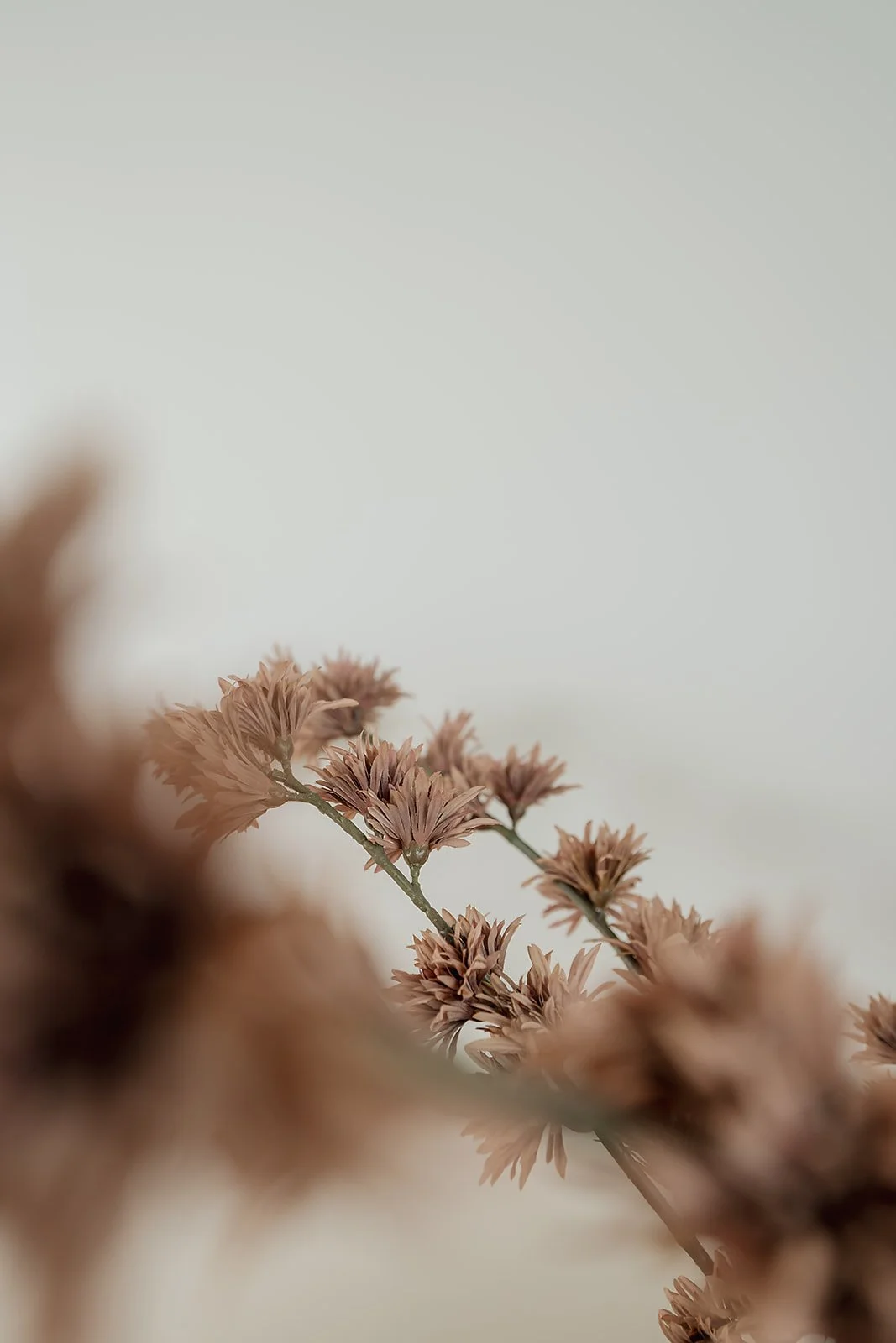 Kella Design palliser downs home February 2026-22.jpg