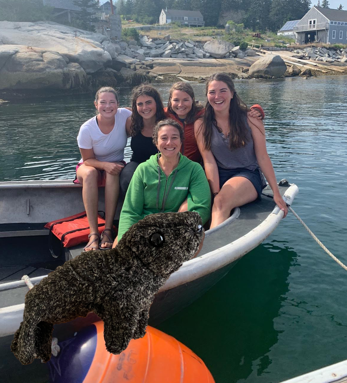 seal research team.png