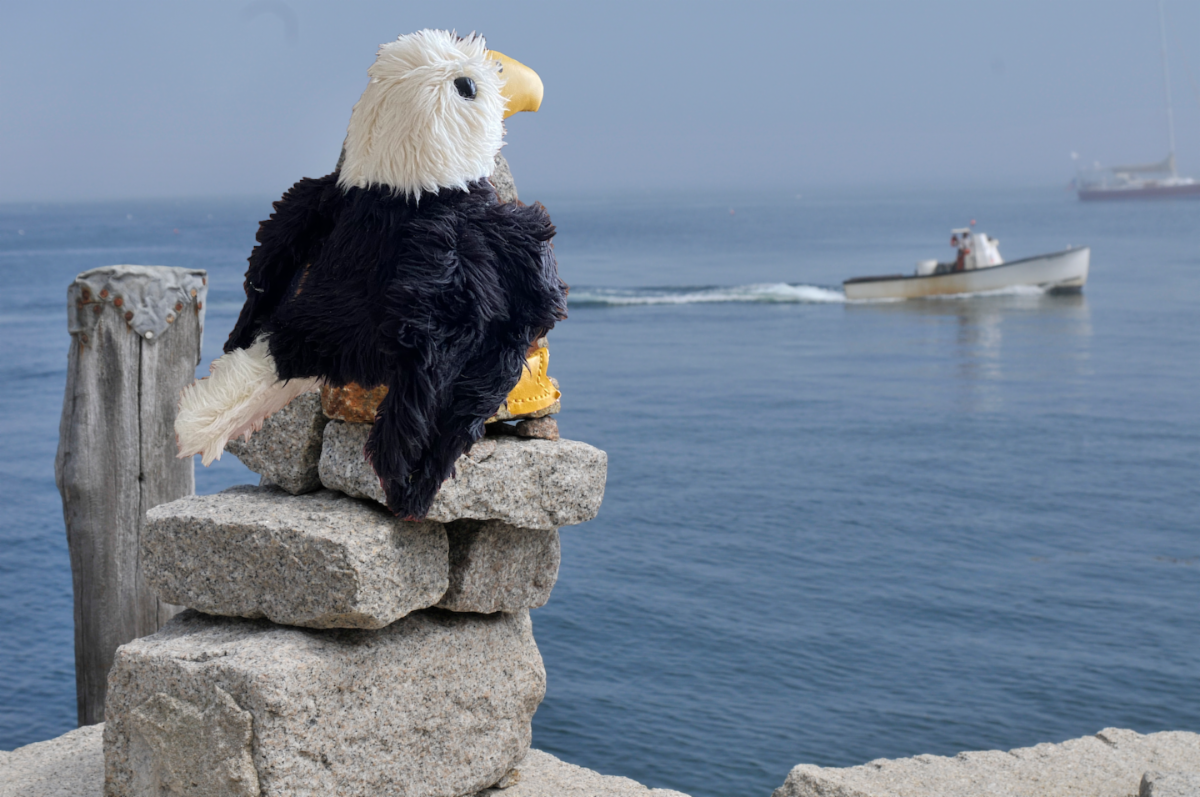 eagle emotional rocks.png