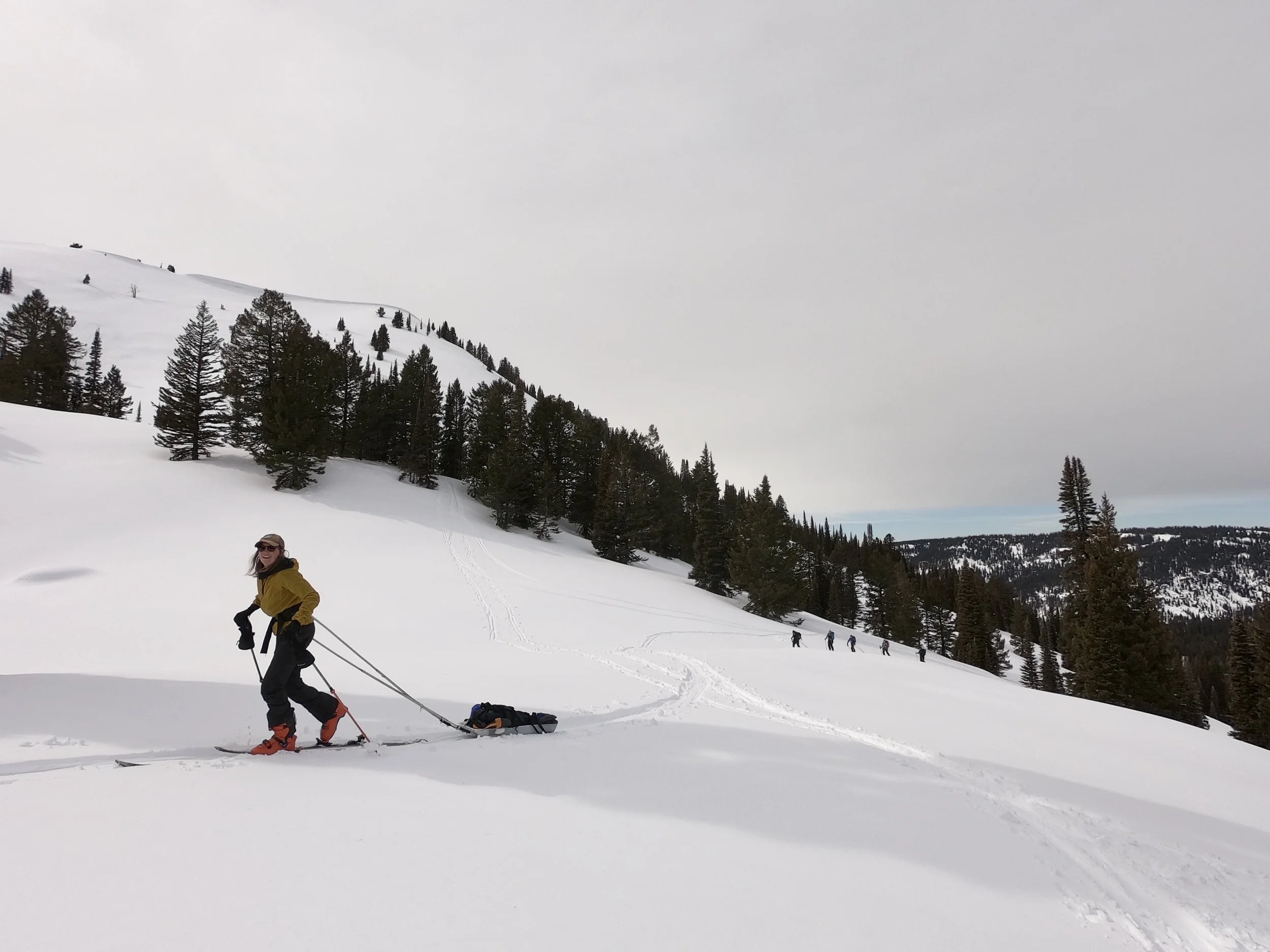 GPTempDownload 10.jpg