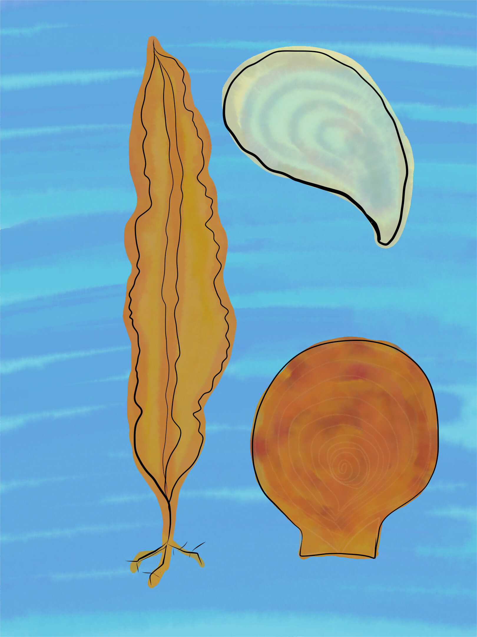 Maine aquaculture.jpg