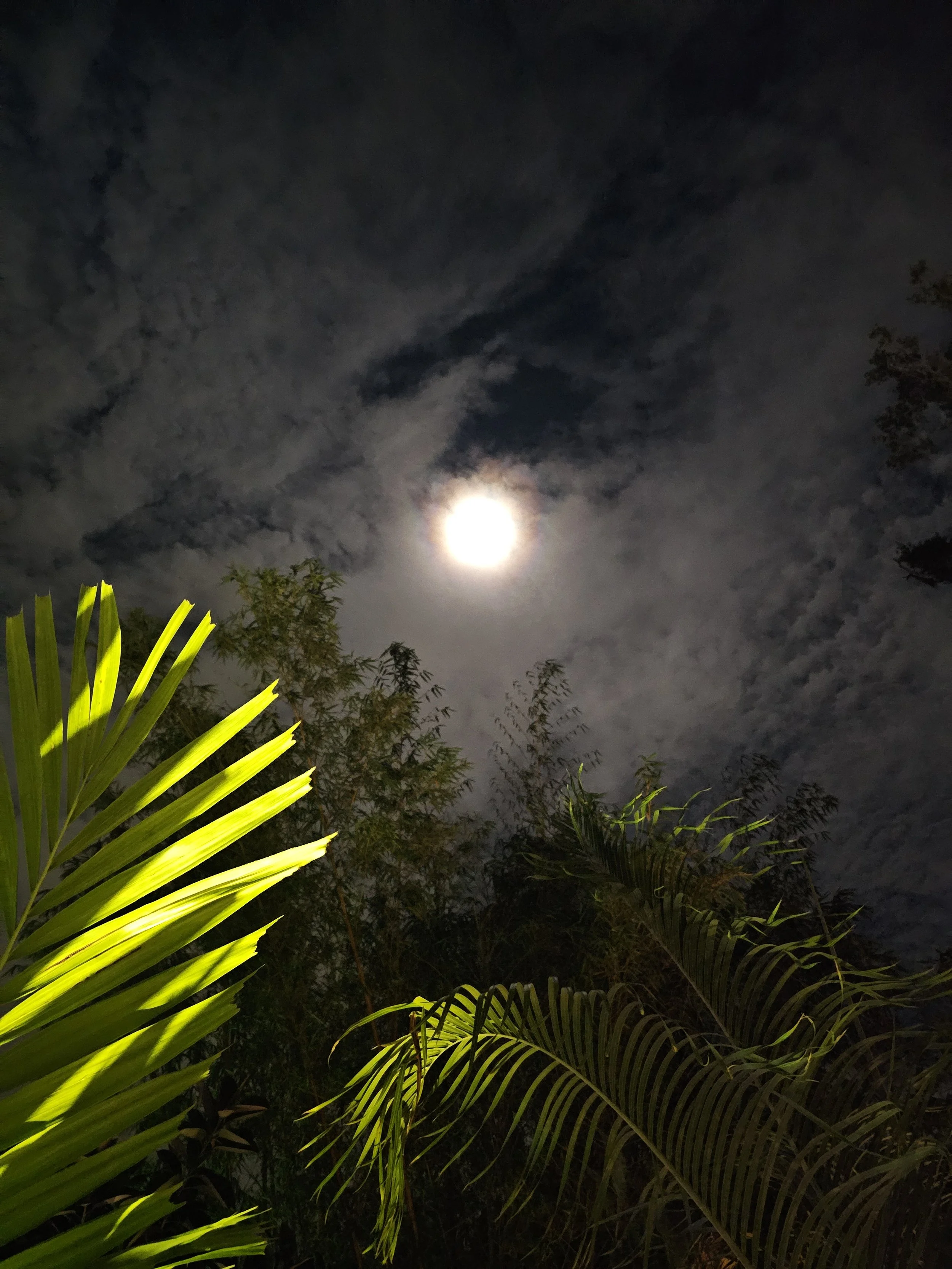 20251201_Moon2.jpg