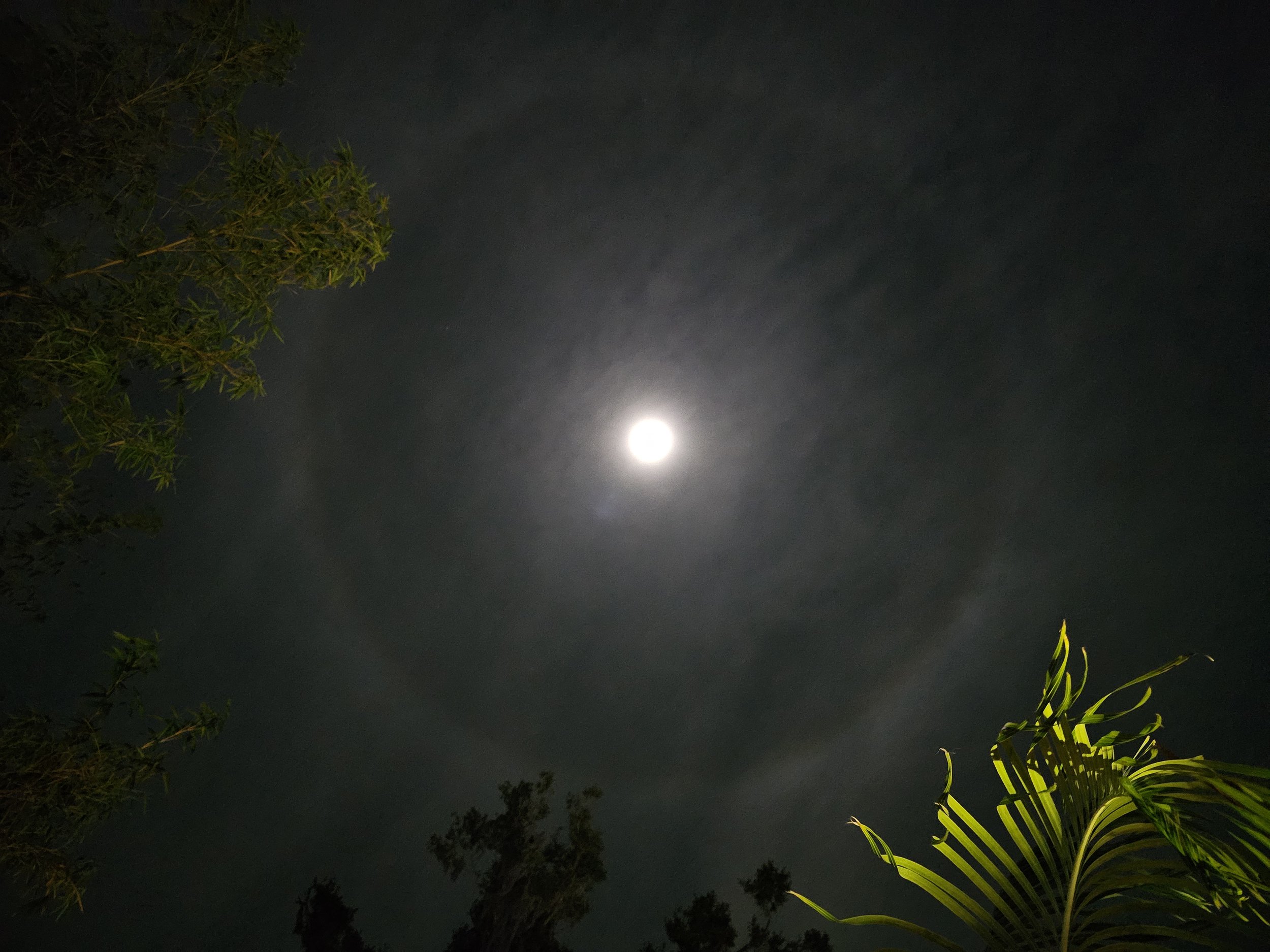 20251202_Moon3.jpg