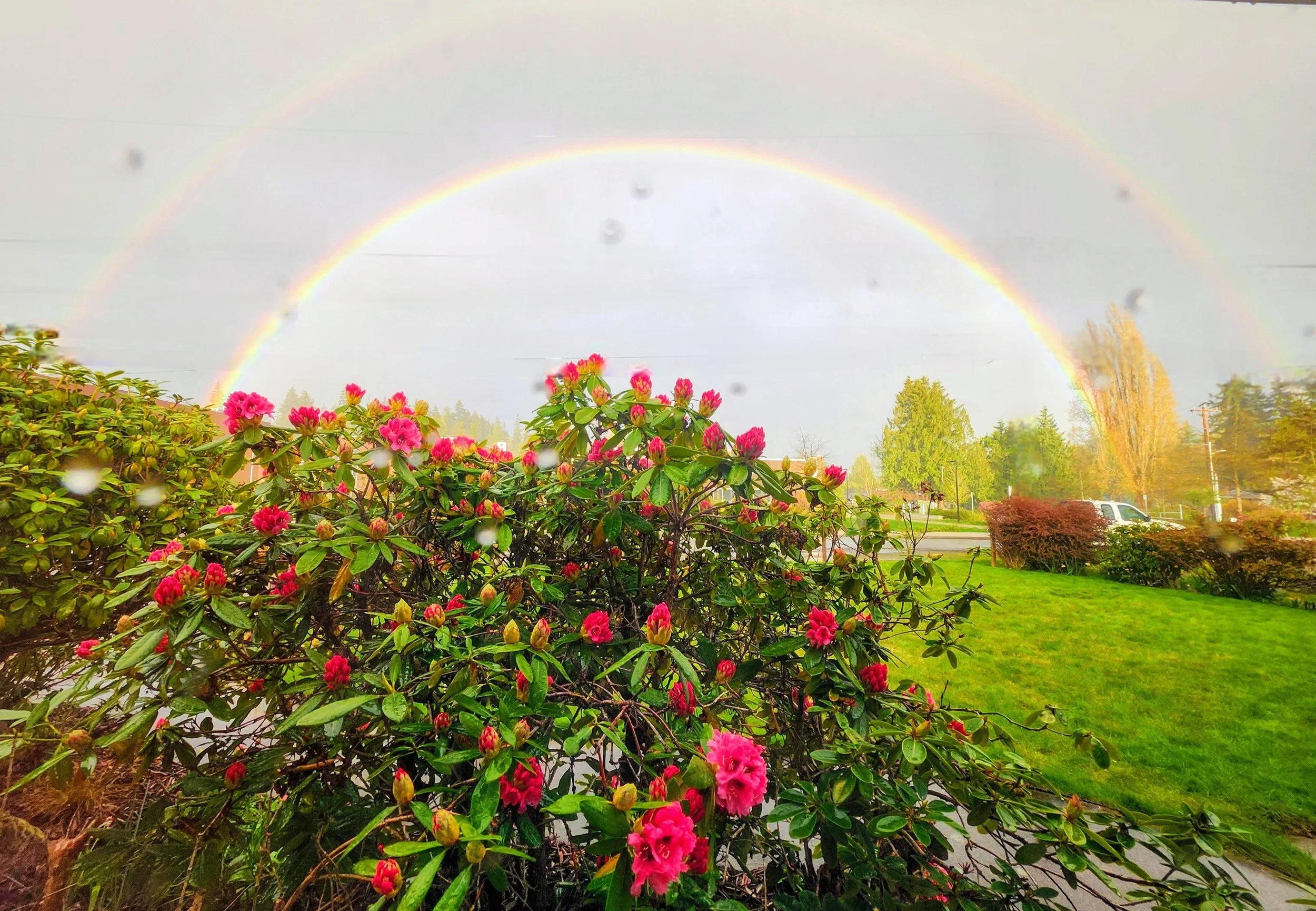 20260410DblRainbow.jpg