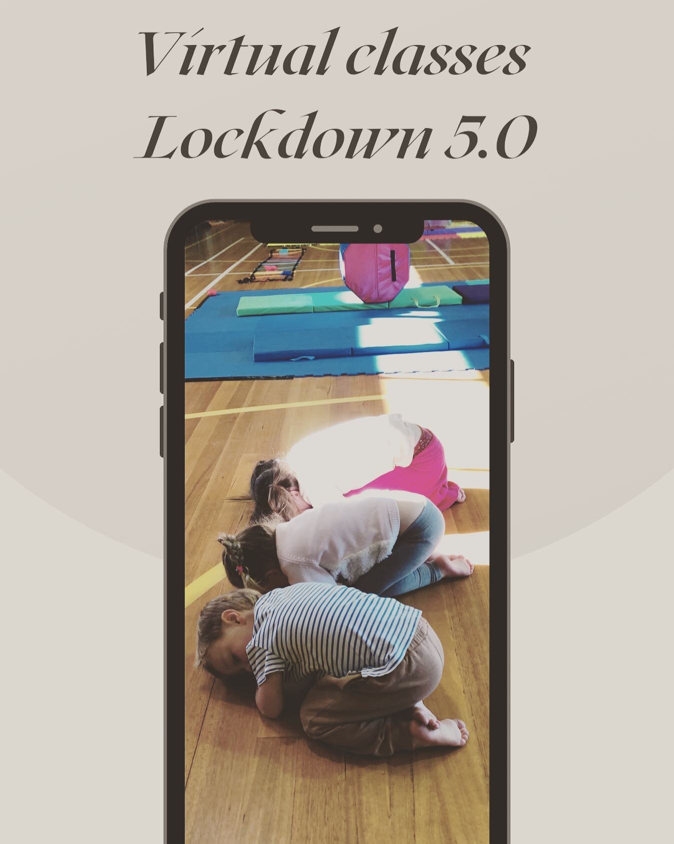 With the news that Lockdown 5.0 will be extended past the initial 5 days, I&rsquo;m considering running virtual classes. These classes can be purchased and watched anytime! (Not zoom meetings or online classes with times)
Who&rsquo;s keen?! Should I 