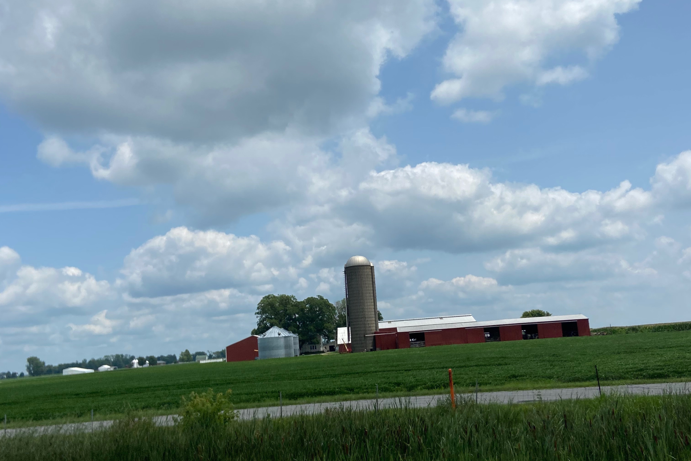 Rooted in What Lasts