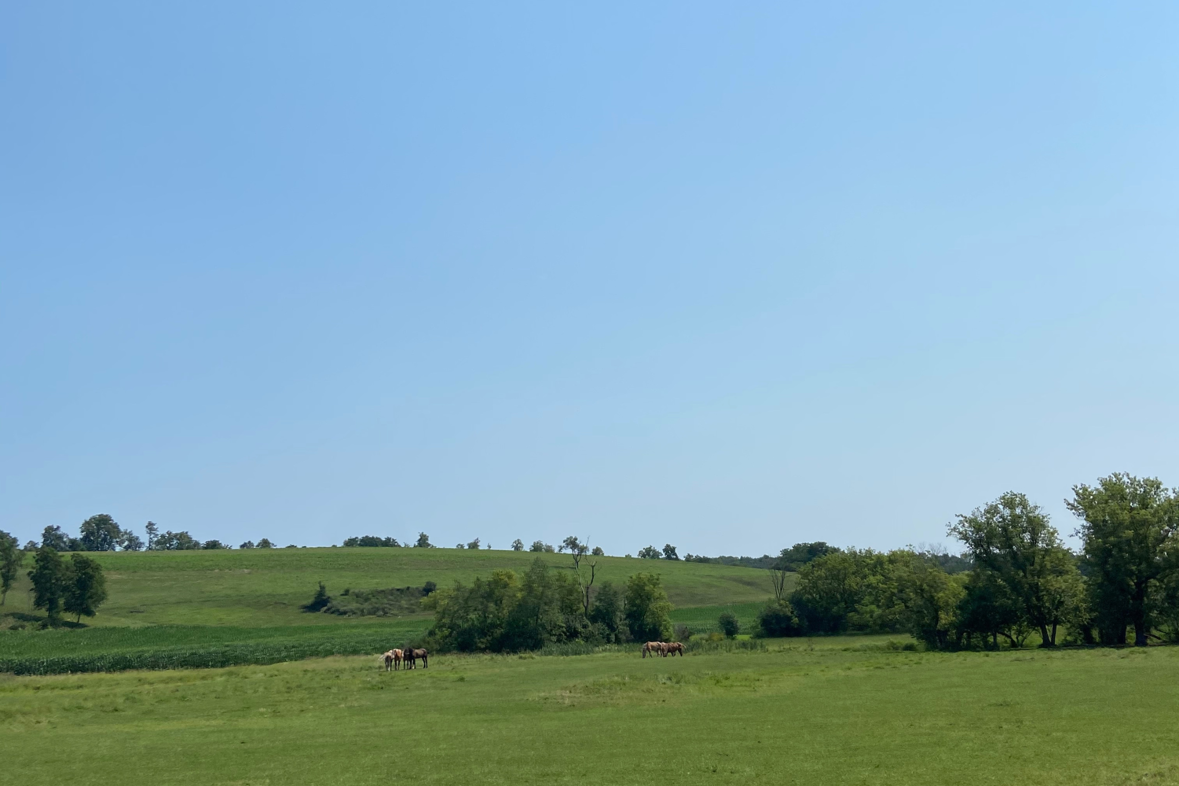 Farmland - learning to breathe again.png