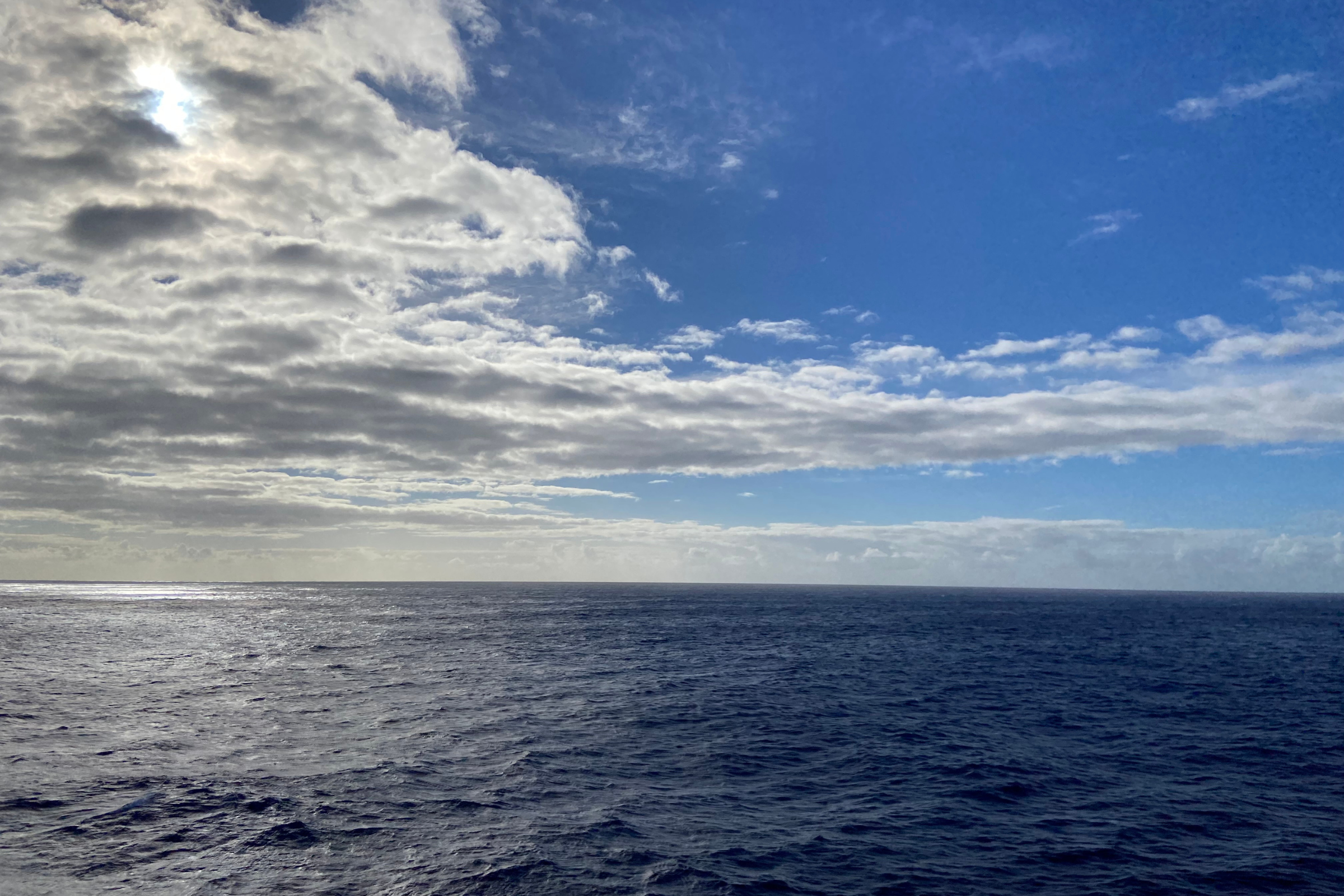 The Horizon is Still There