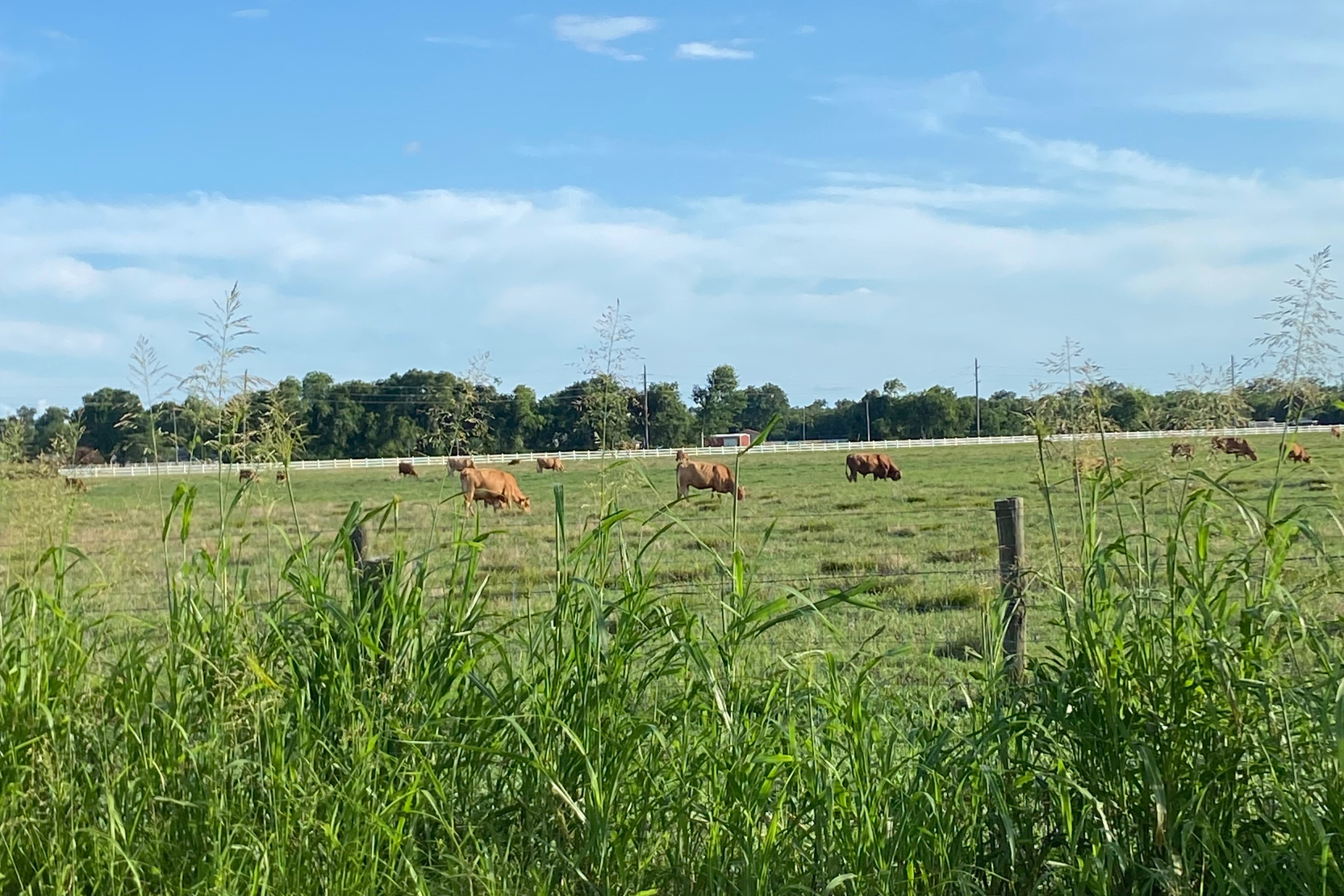 Where Nourishment Lives