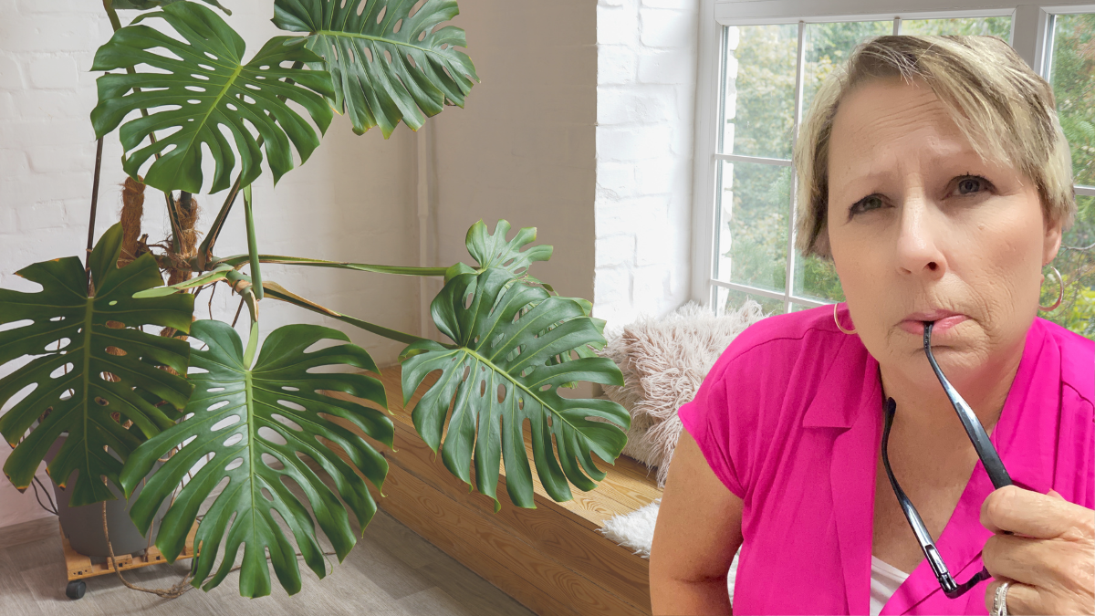 When Waiting Feels Like Wasting