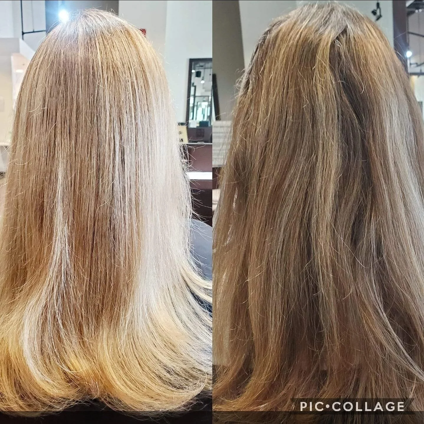 Full highlights with toner and cut
