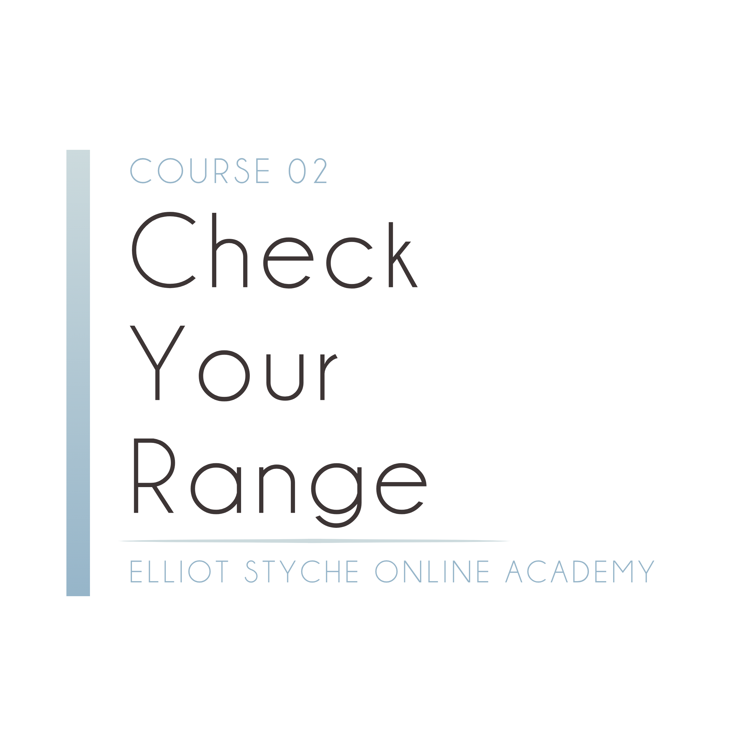 Course 02 Check Your Progress online academy by Elliot Styché.